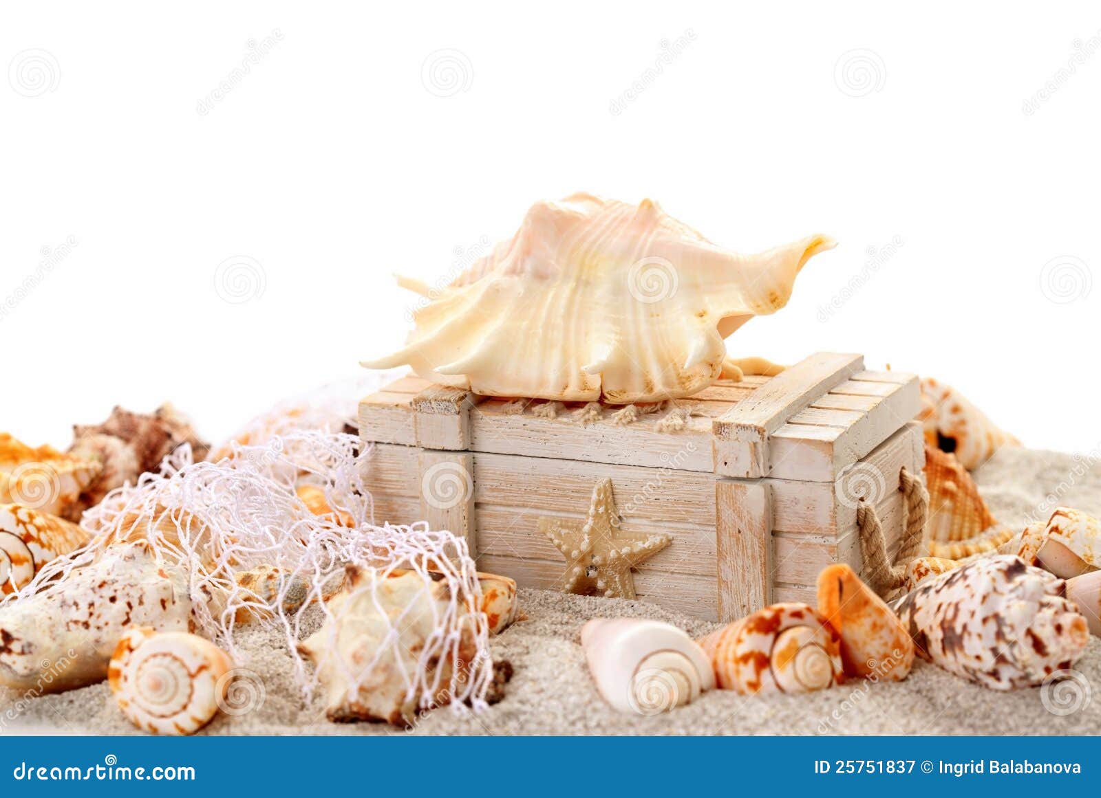 Seashells and Treasure Chest Stock Image Image of ocean, space 25751837