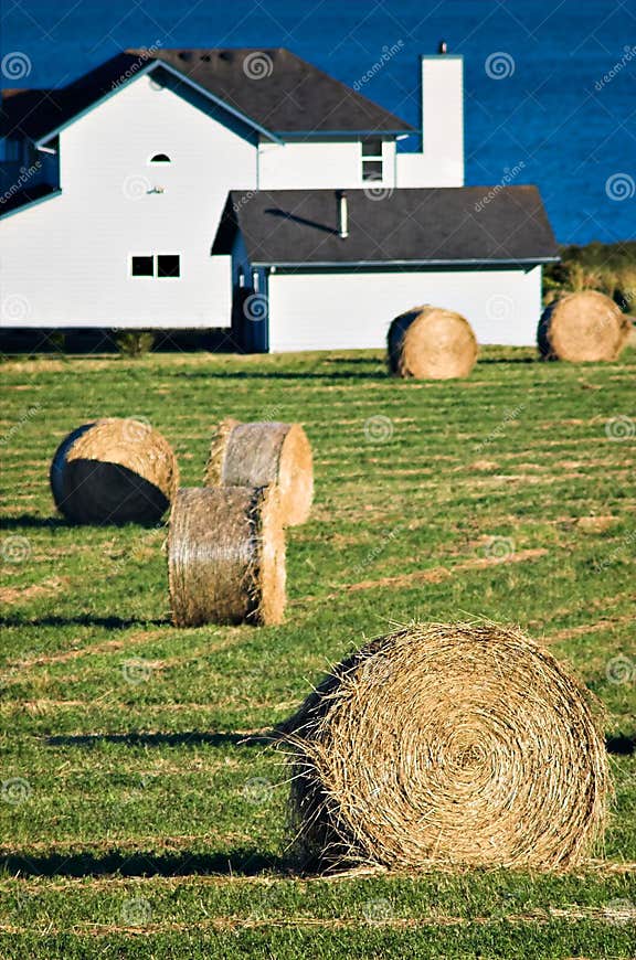 Seaside Farm stock photo. Image of land, feed, autumn 1082778