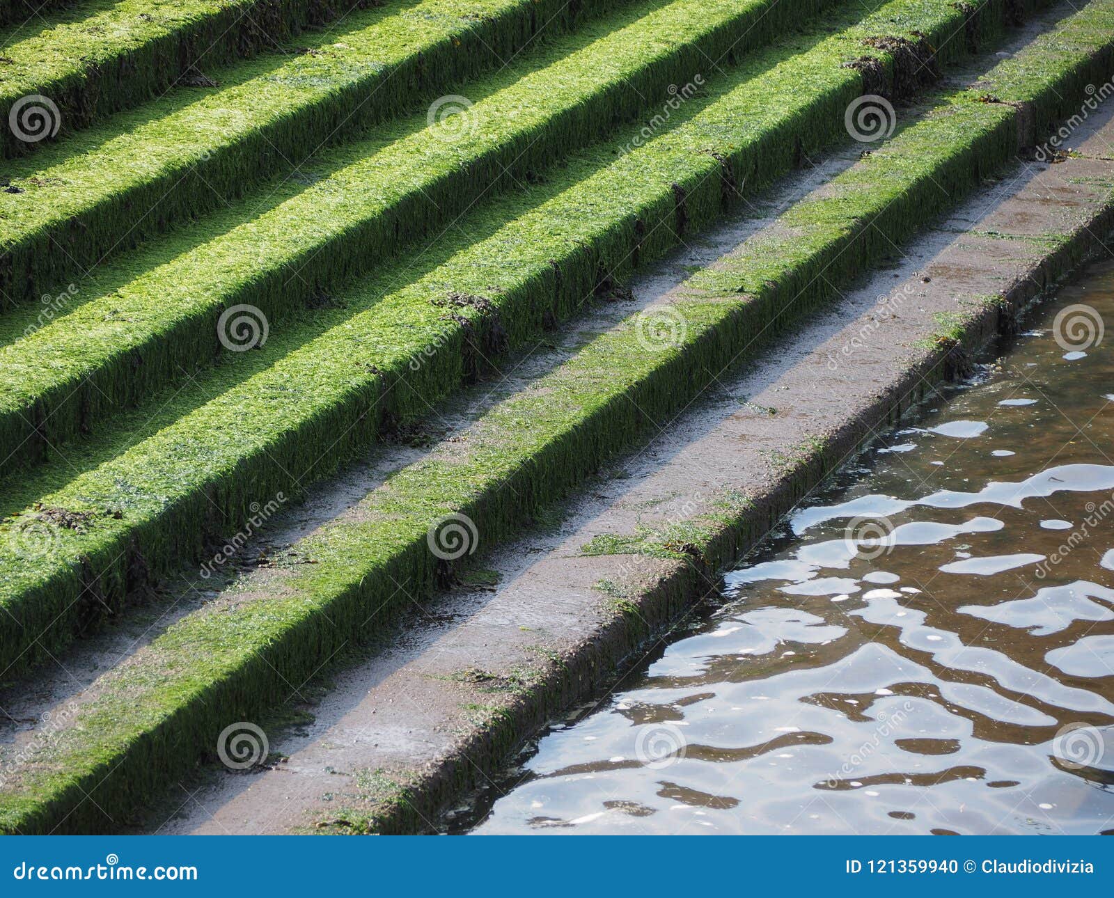 Moss on concrete steps stock photo. Image of staircase 121359940