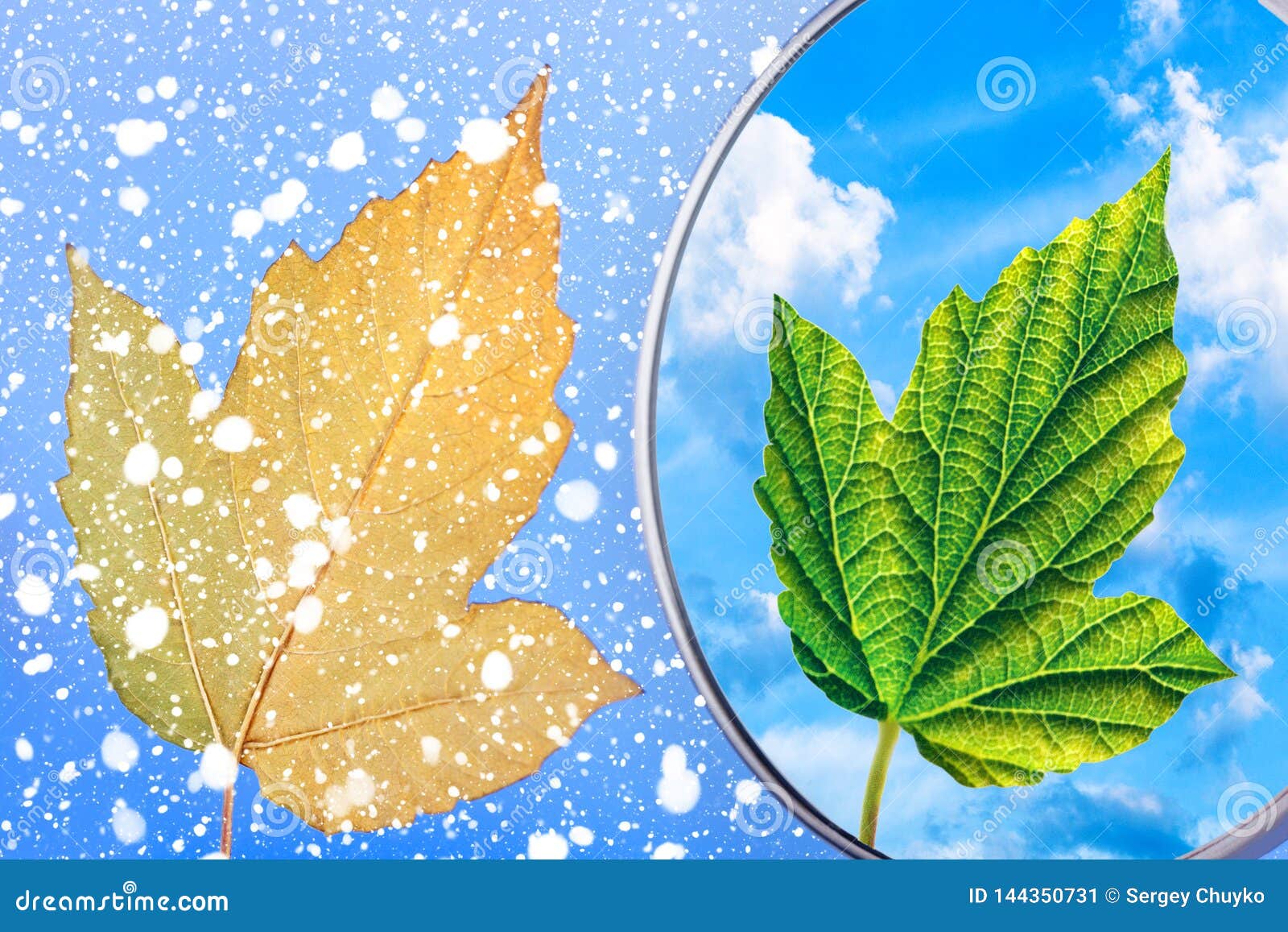 Season Change from Winter To Spring Stock Image Image of scenery