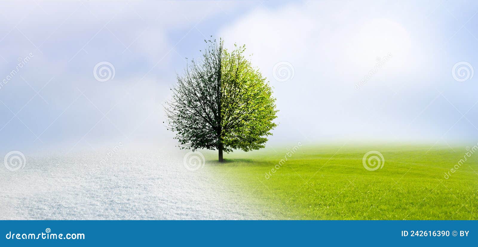 Season Change from Winter To Spring Stock Photo Image of space