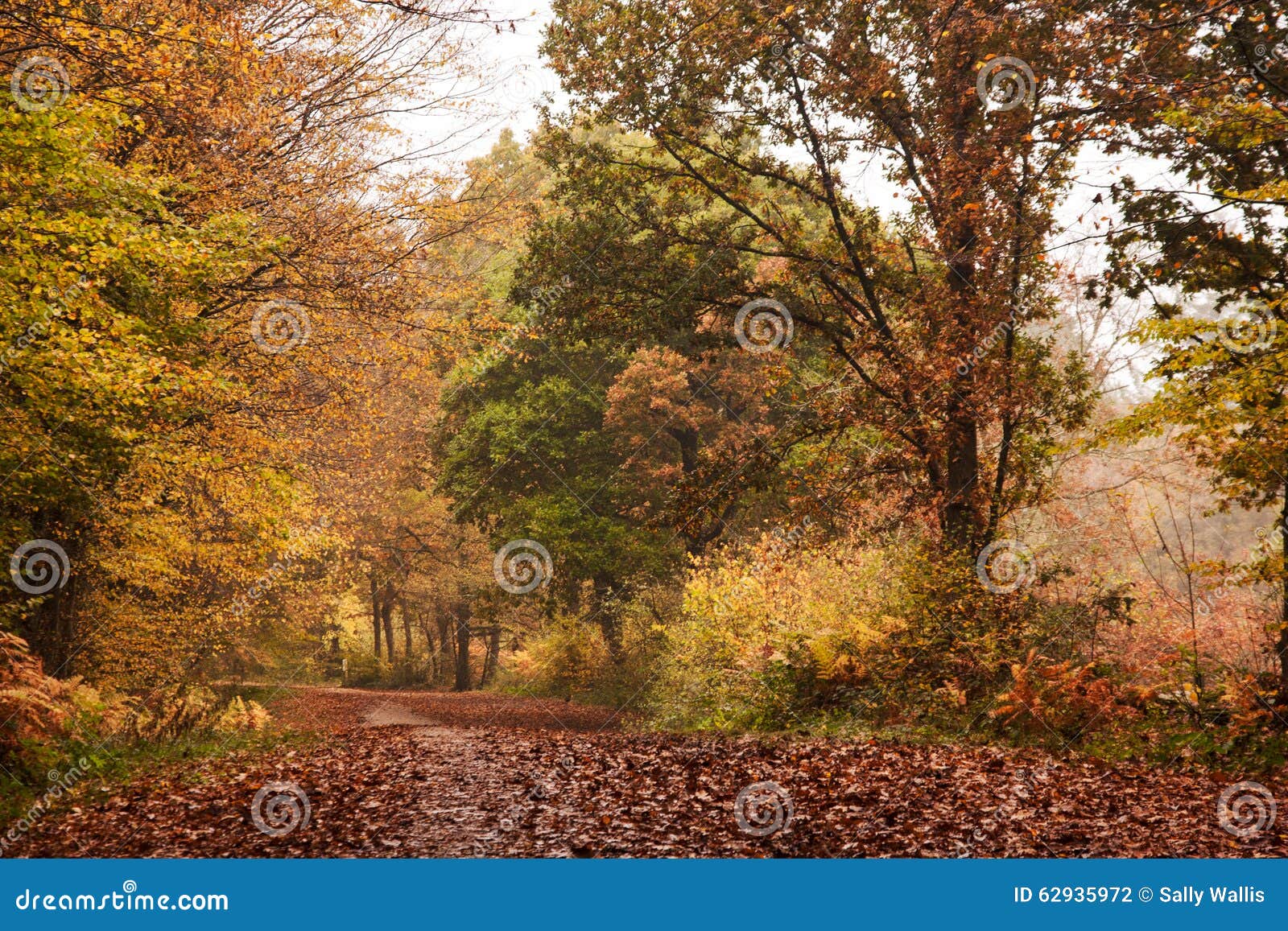 season of mists and mellow fruitfulness