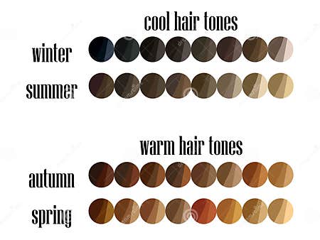 Seasonal Color Analysis Hair Colors Palette for All Types of Female ...