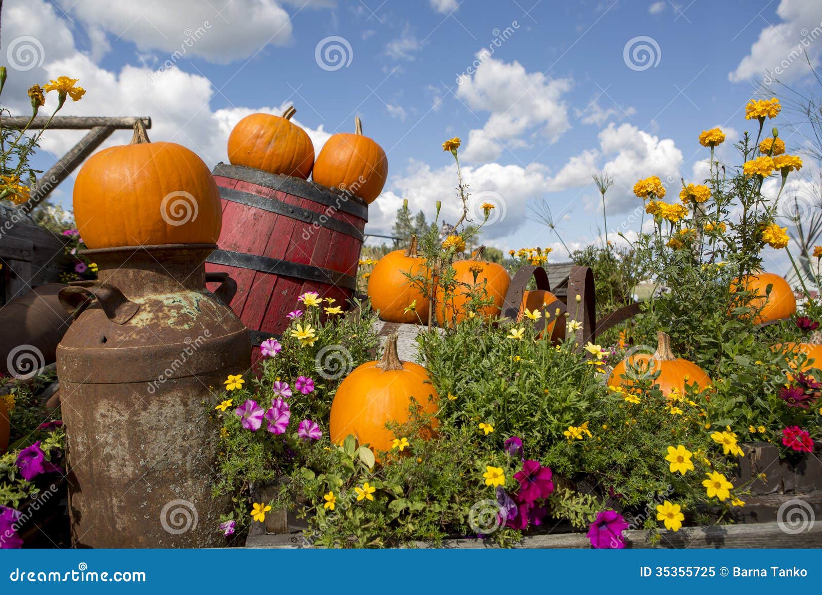 Image Result For Halloween Garden Decoration Image Result For Halloween Garden Decoration