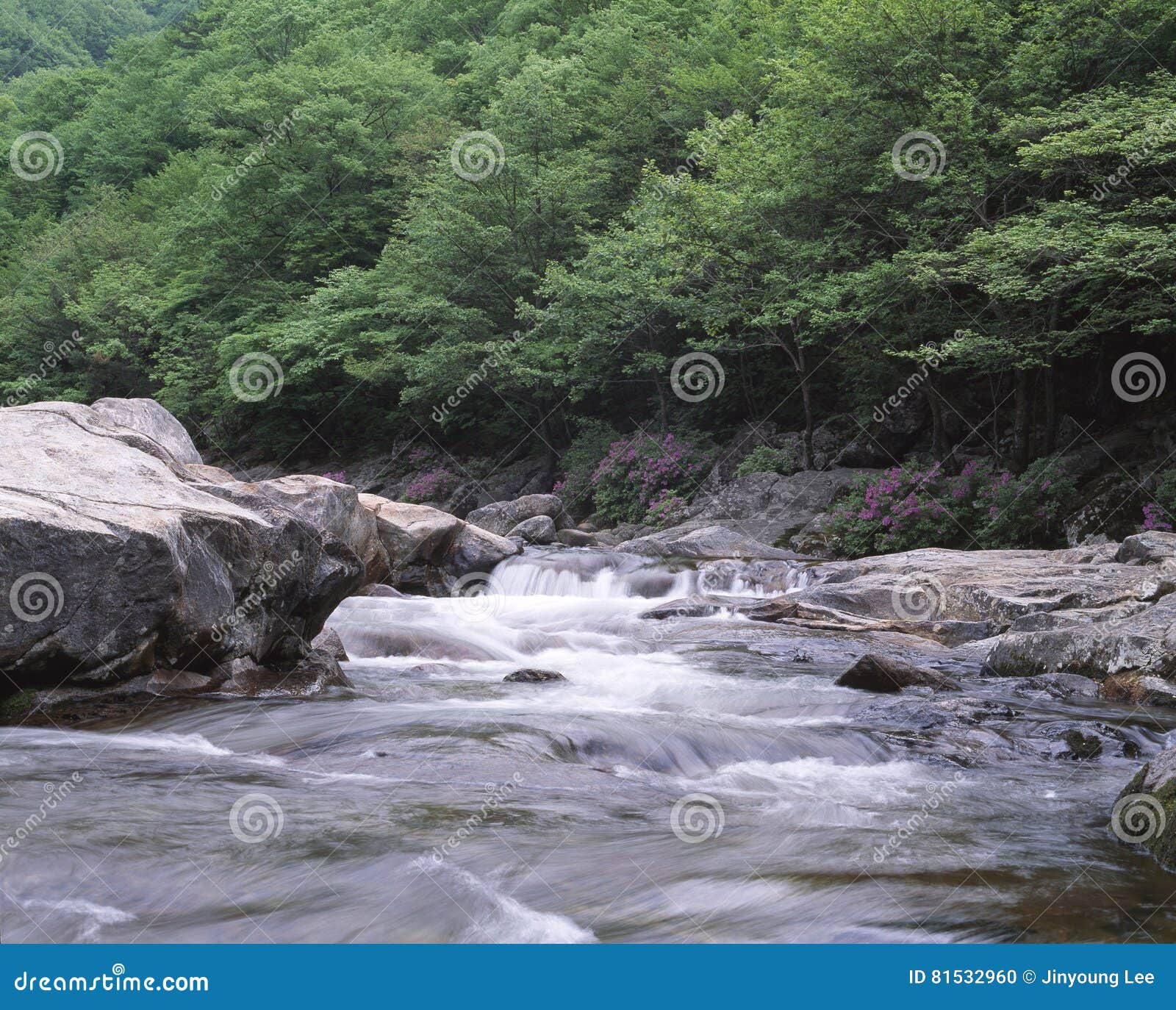Seasonal Landscape stock photo. Image of landscape, wildlife 81532960