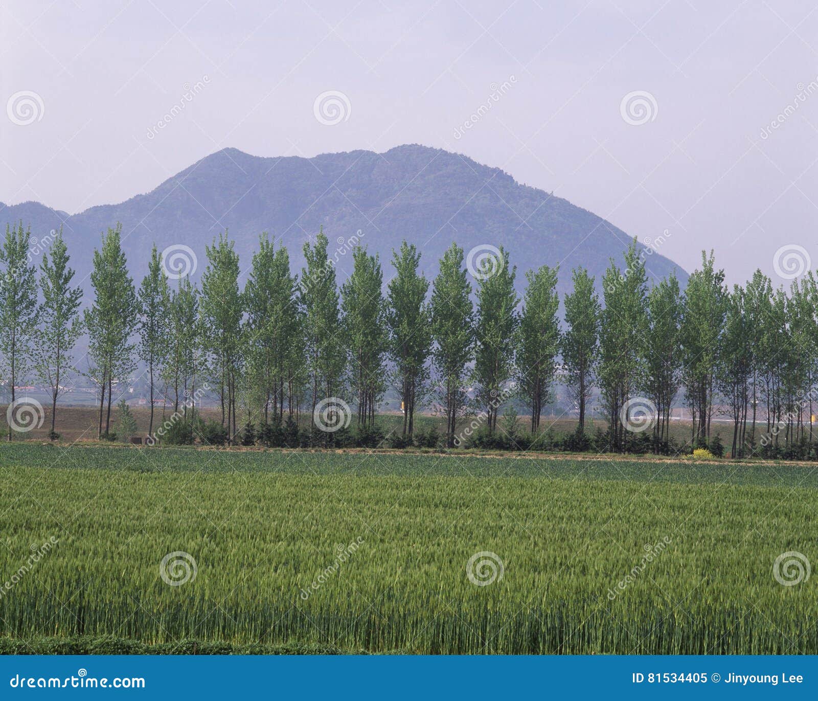 Seasonal Landscape stock image. Image of outdoor, field 81534405