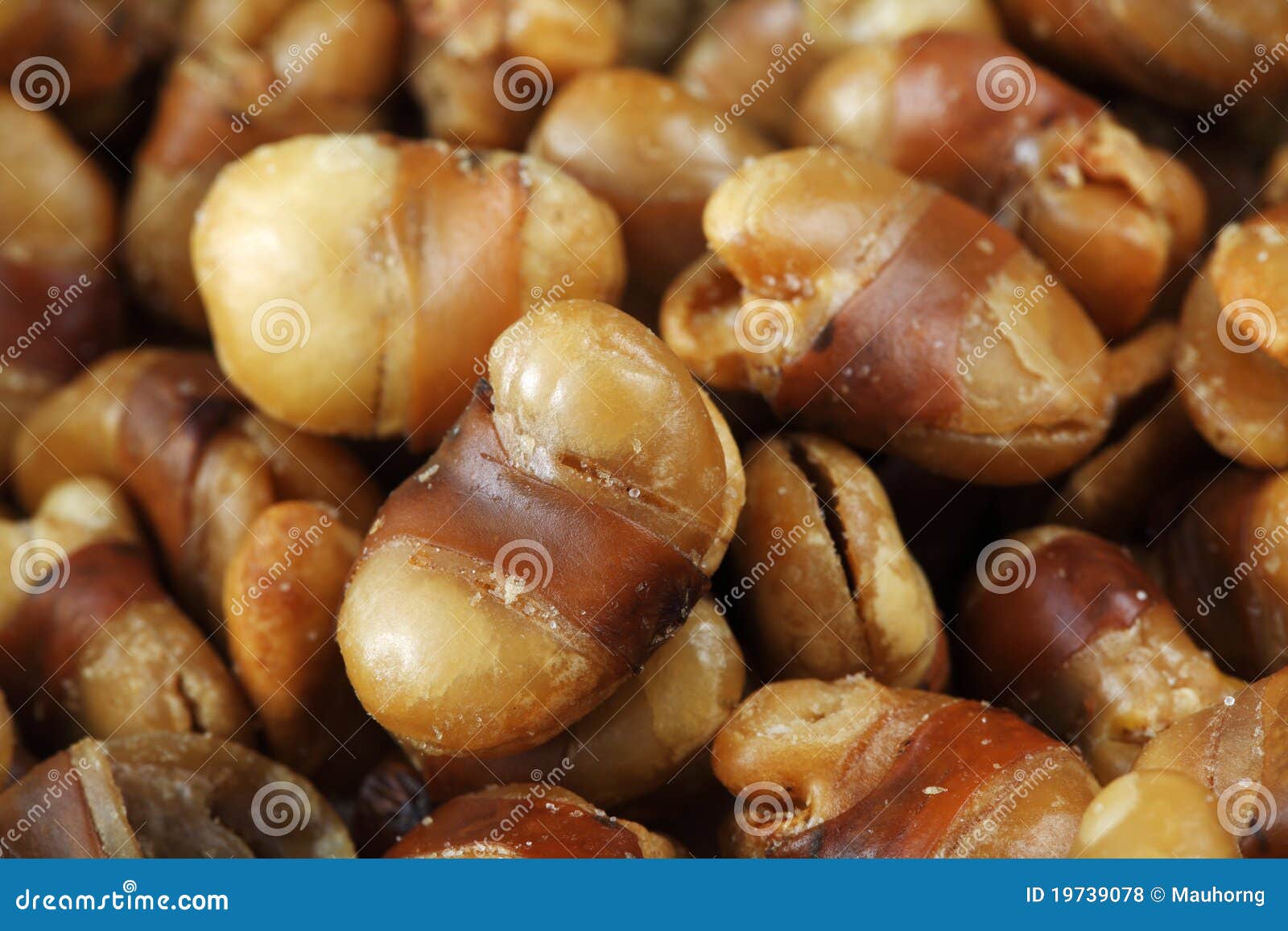 Seasoned Horse Beans stock photo. Image of field, stack 19739078