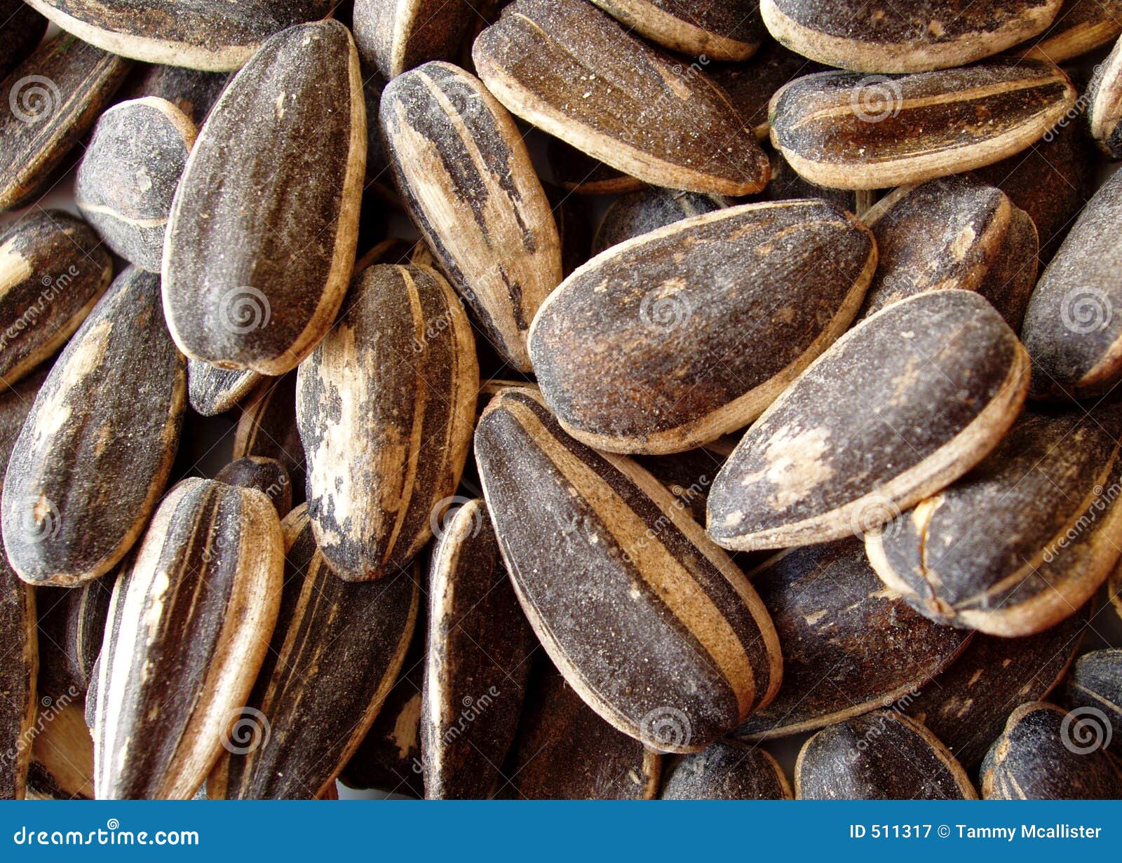 Seasoned sunflower seeds stock image. Image of black, health 511317