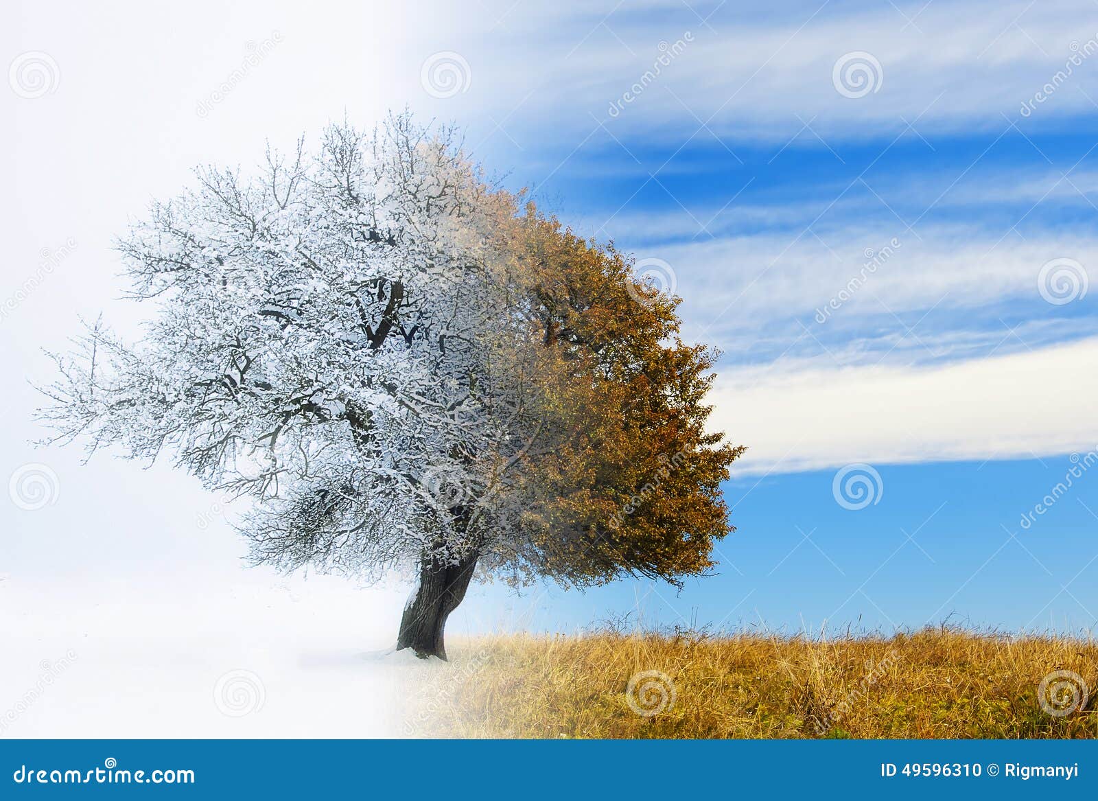 Seasons change stock illustration. Illustration of lone 49596310