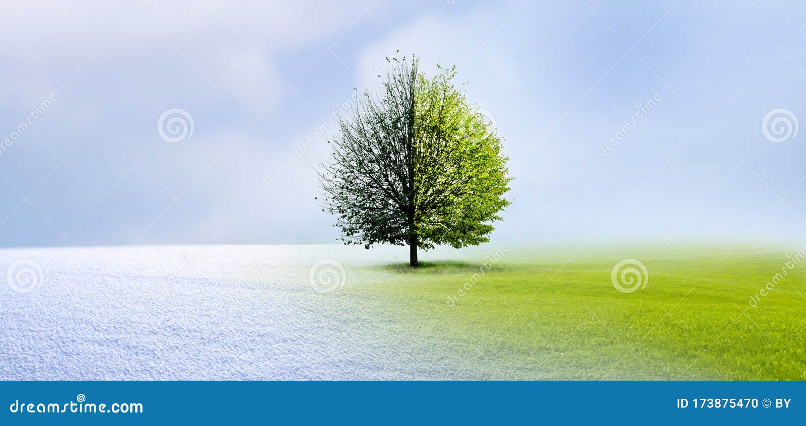 Seasons Change from Winter To Spring with Tree Stock Photo Image of