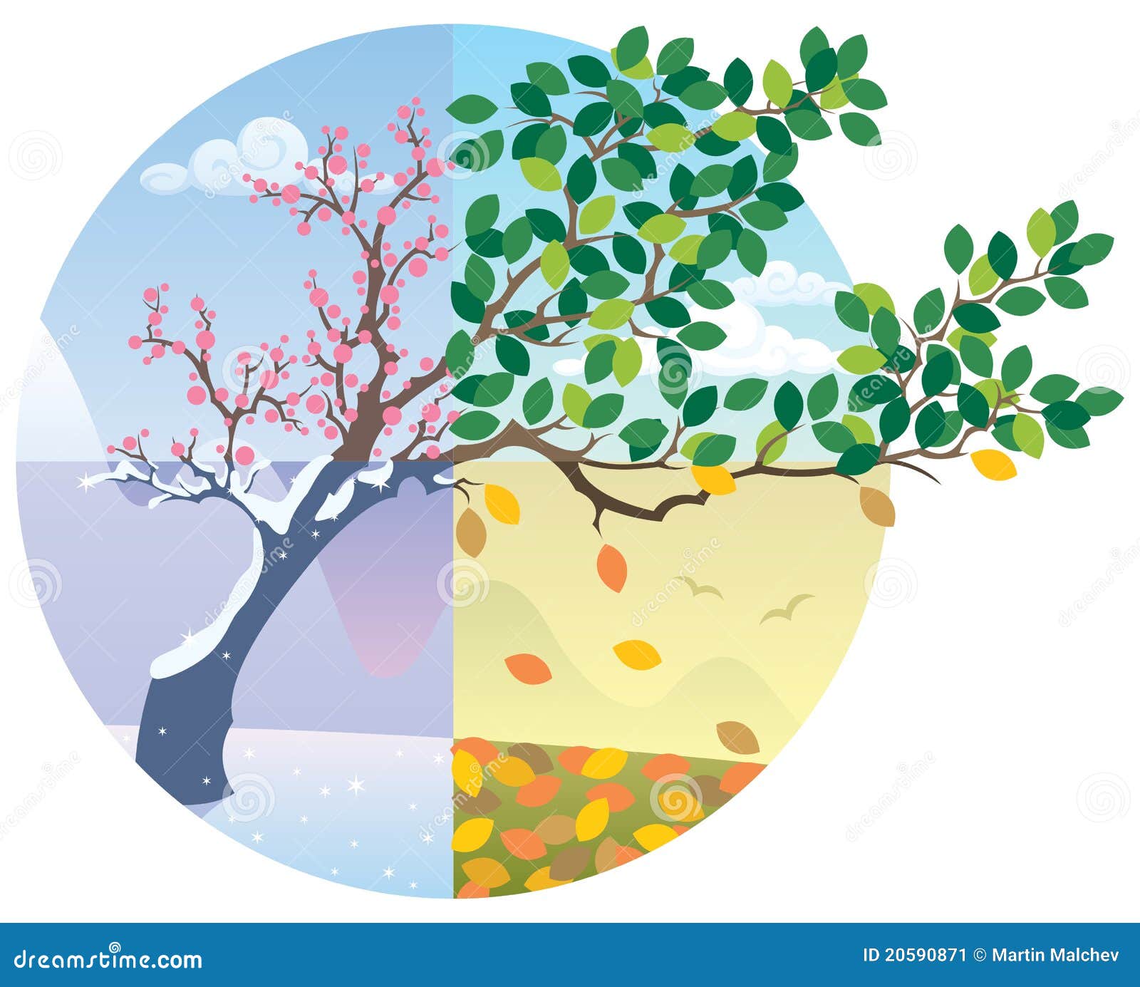 Seasons Cycle stock vector. Illustration of background - 20590871
