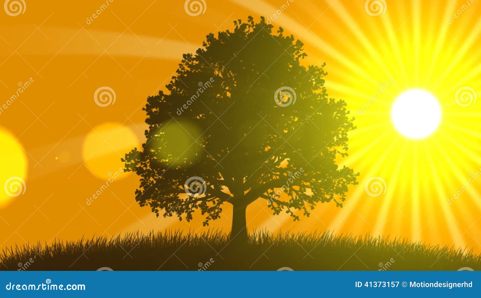 4 Seasons: Summer (Animated Background) Stock Video - Video of summer,  winter: 41373157