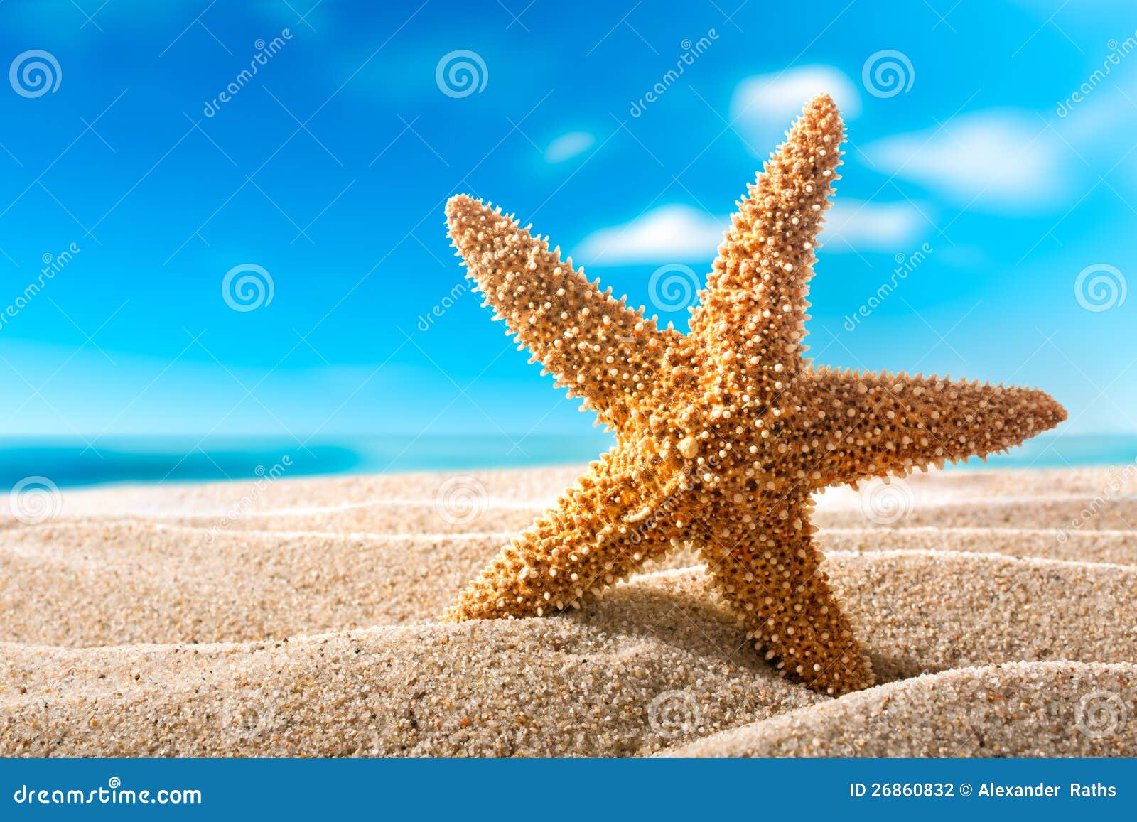 Seestern im Sand starfish on the beach Ansichtskarte