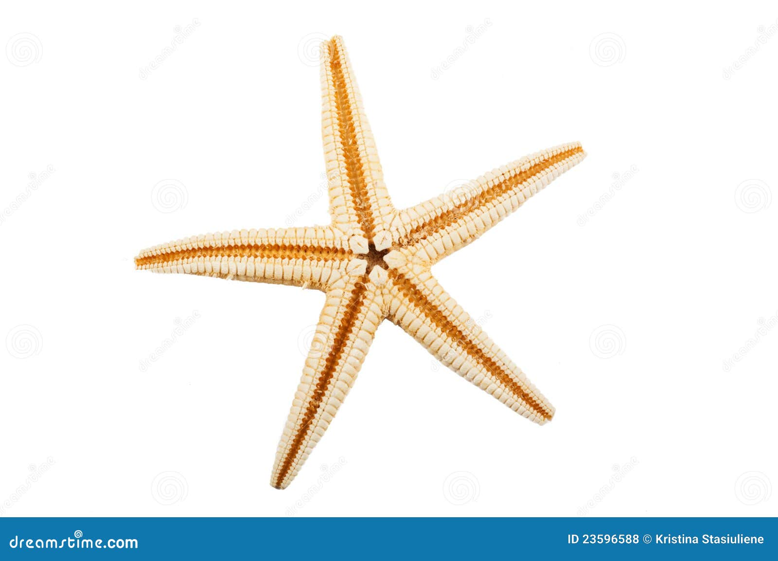 Seastar