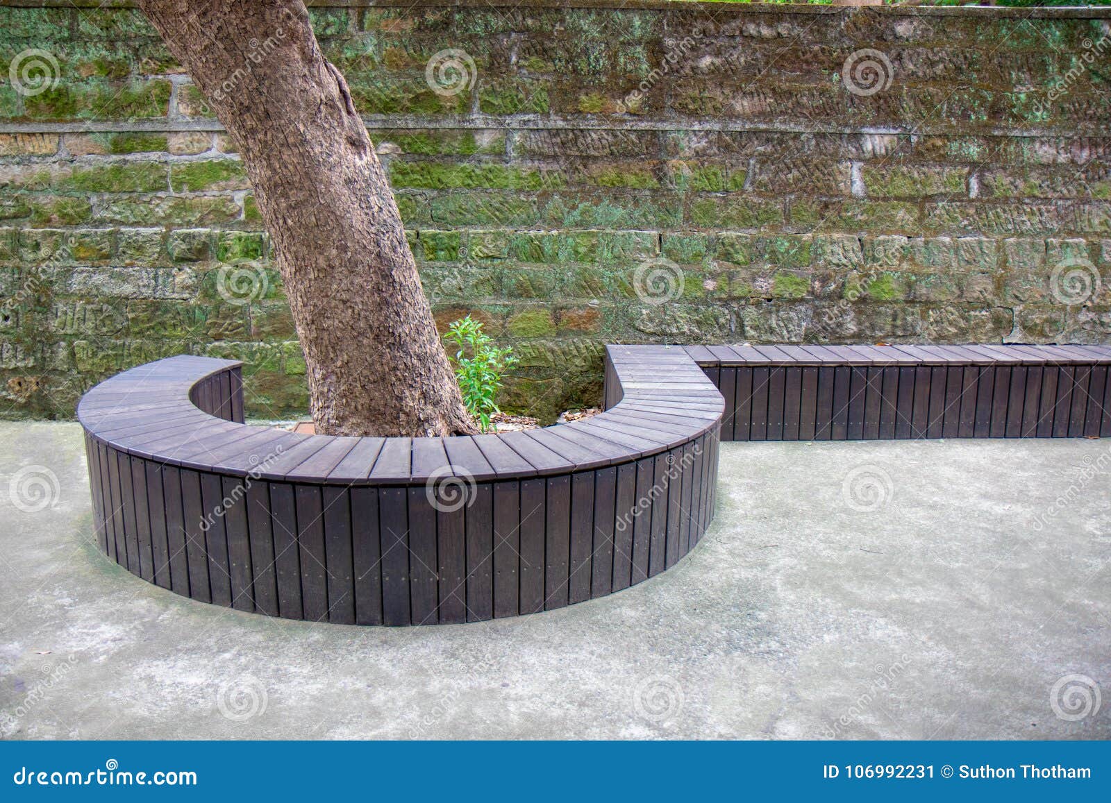 Seat under the tree stock image. Image of winter, landscape 106992231