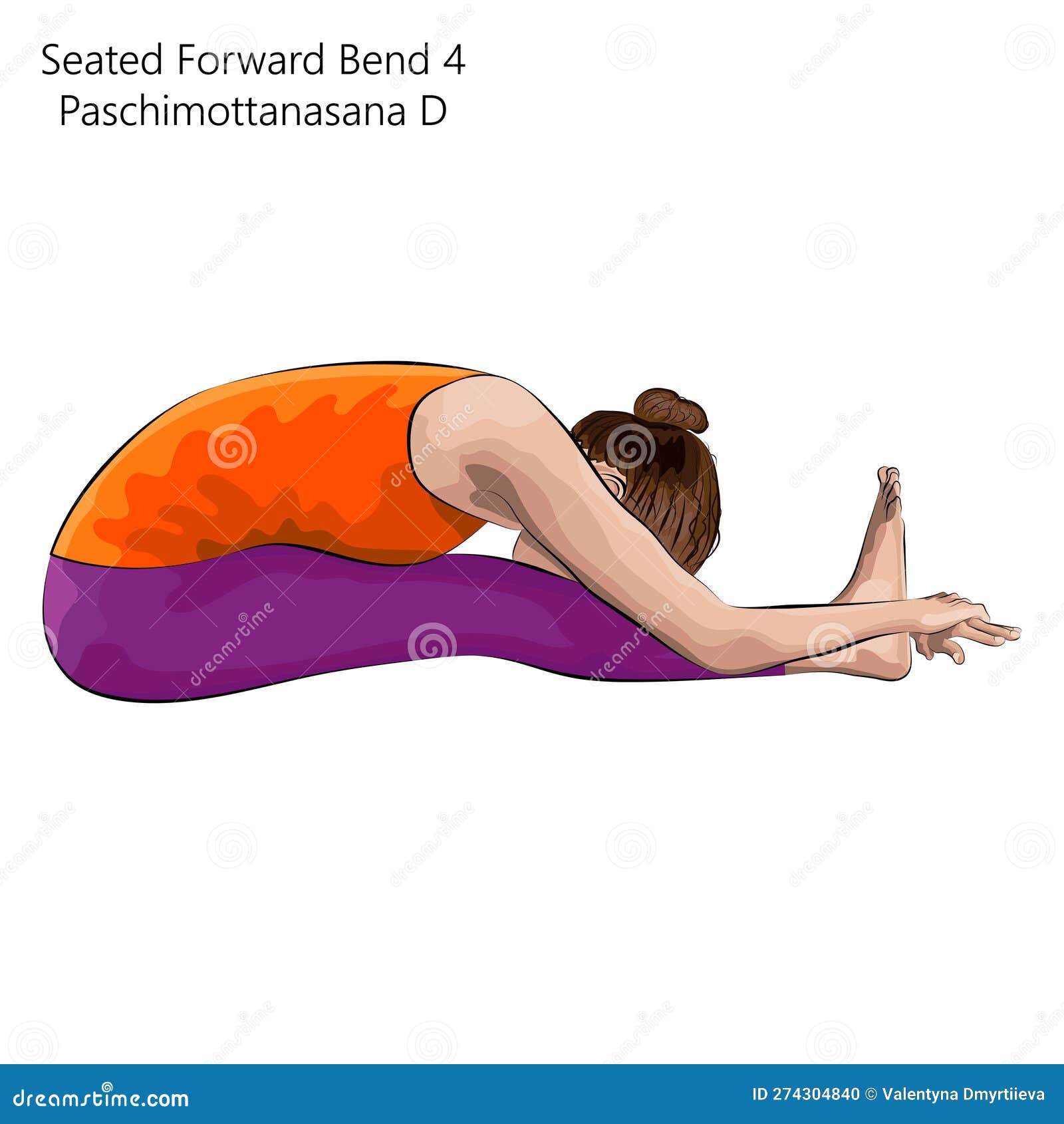 Seated Forward Bend 4 Pose. Paschimottanasana D. Stock Vector -  Illustration of hatha, vinyasa: 274304840