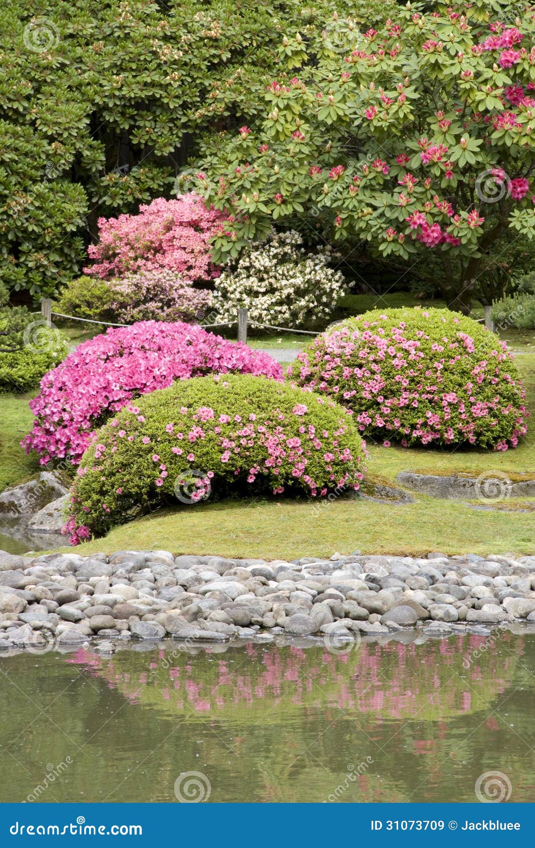 Seattle Japanese Garden Stock Image Image Of Design 31073709