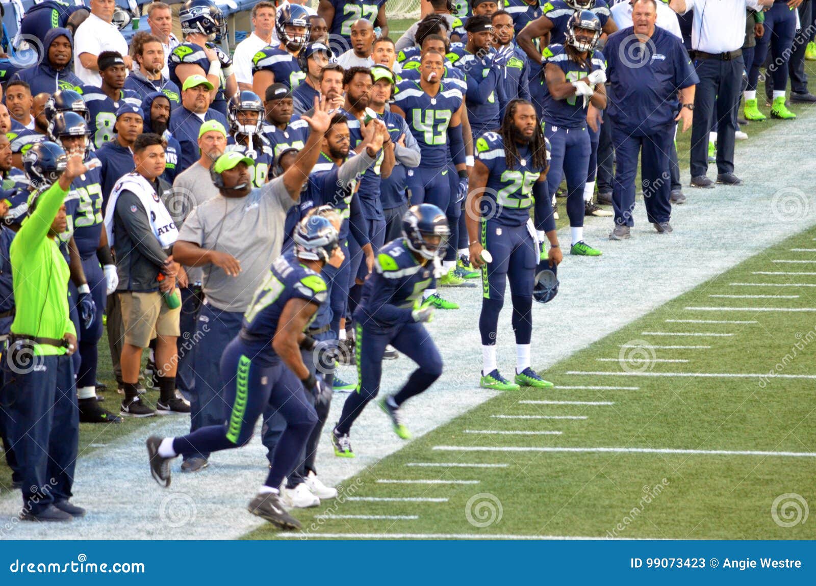 seahawks sideline jacket