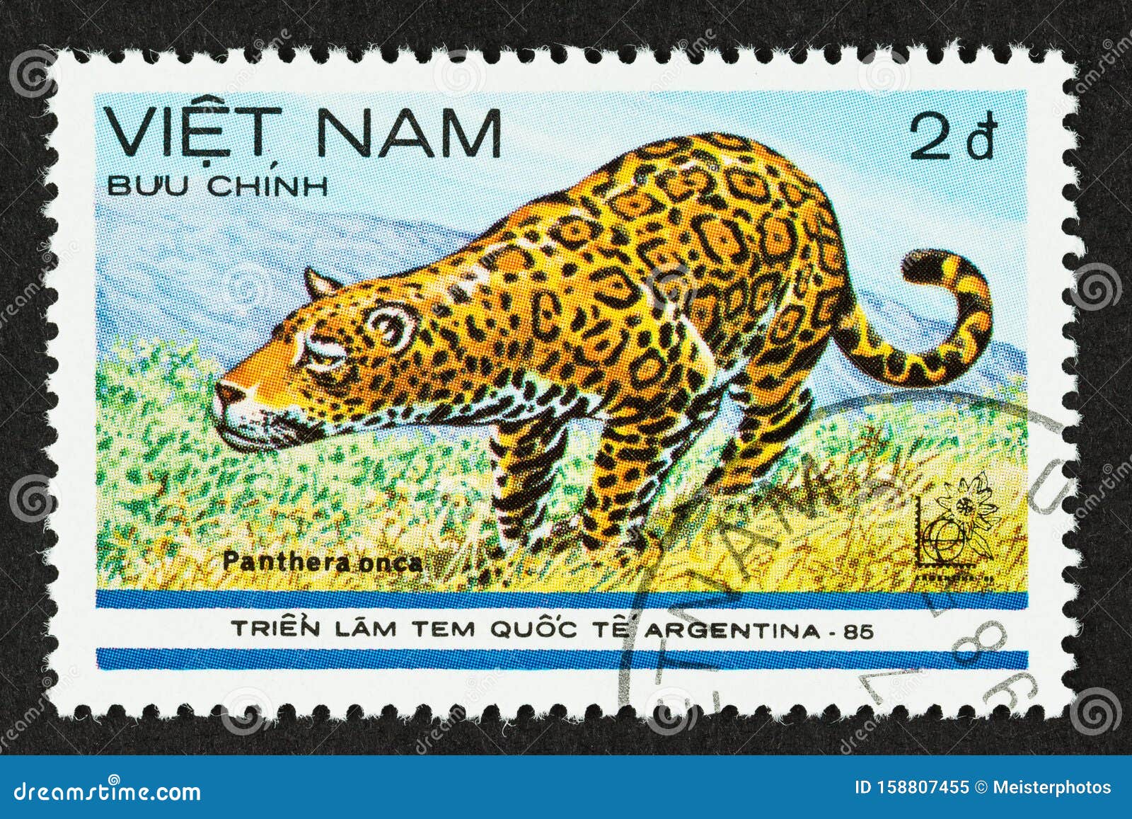 Vietnam Endangered Species Stamp Series - Jaguar Editorial Image - Image of  postage, illustrative: 158807455