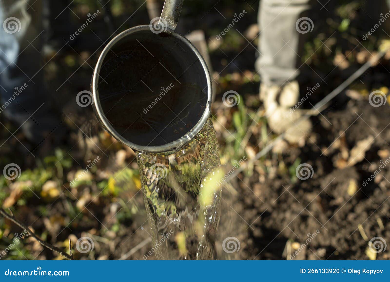 Seau Dans Le Jardin. Installations D'arrosage. Réservoir D'eau. Travail  Dans Le Jardin Photo stock - Image du agriculture, affermage: 266133920