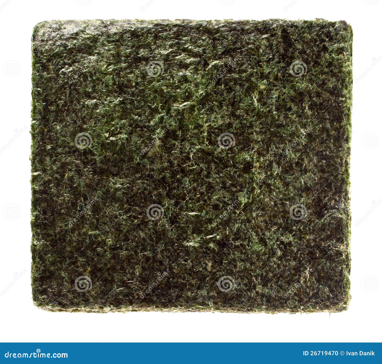 Seaweed stock photo. Image of vegetable, texture, japan 26719470