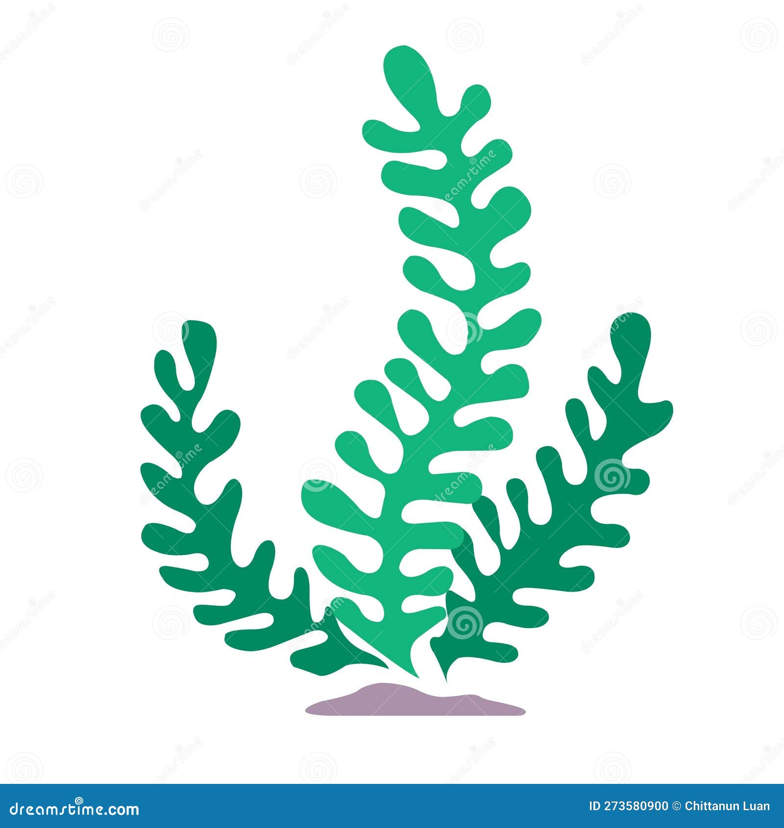 Seaweed, Coral and Sea Grass Flat Design Vector for Decoration on