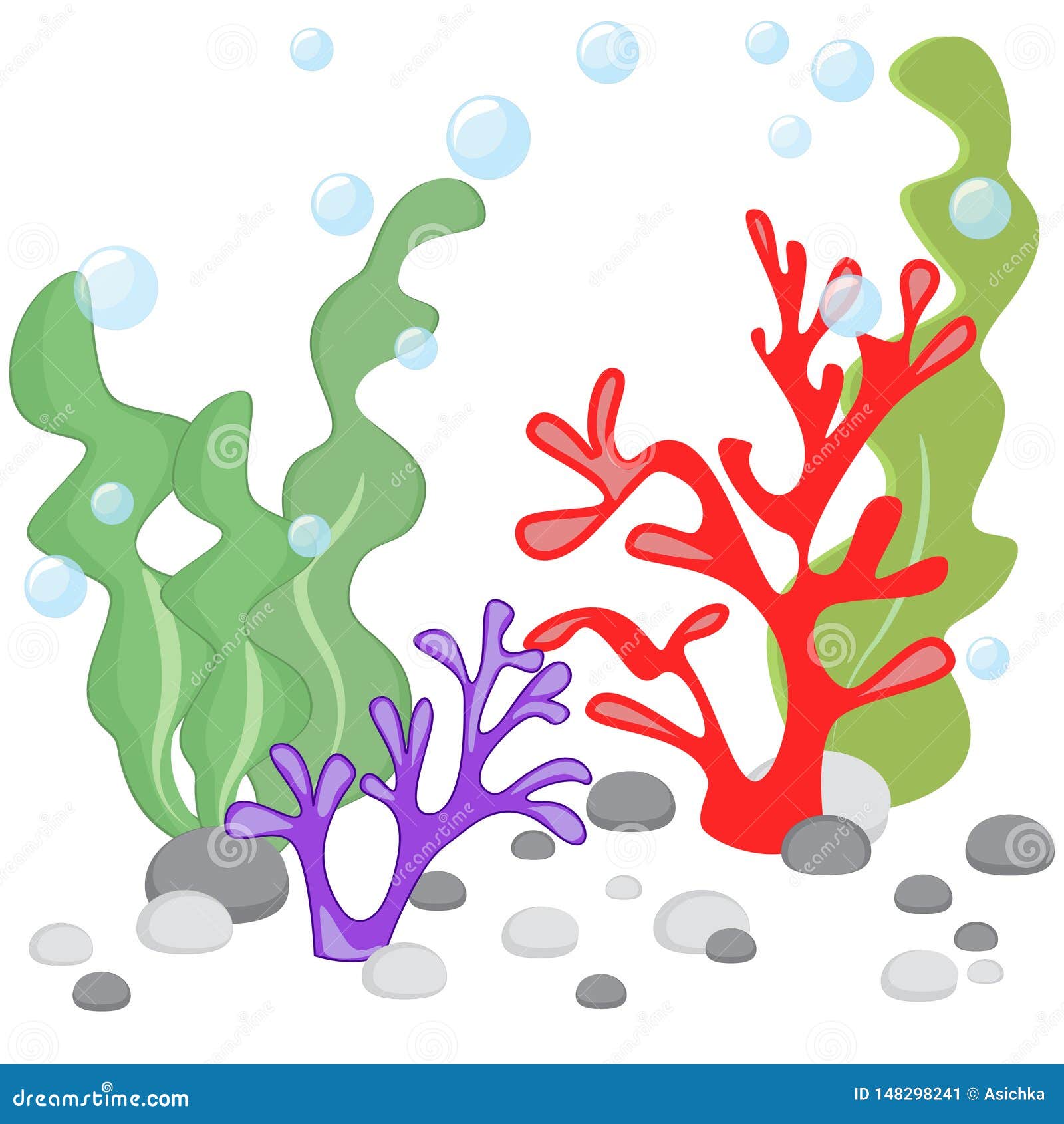 Seaweed, Corals and Stones. Underwater Natural Plants Isolated. Coral ...