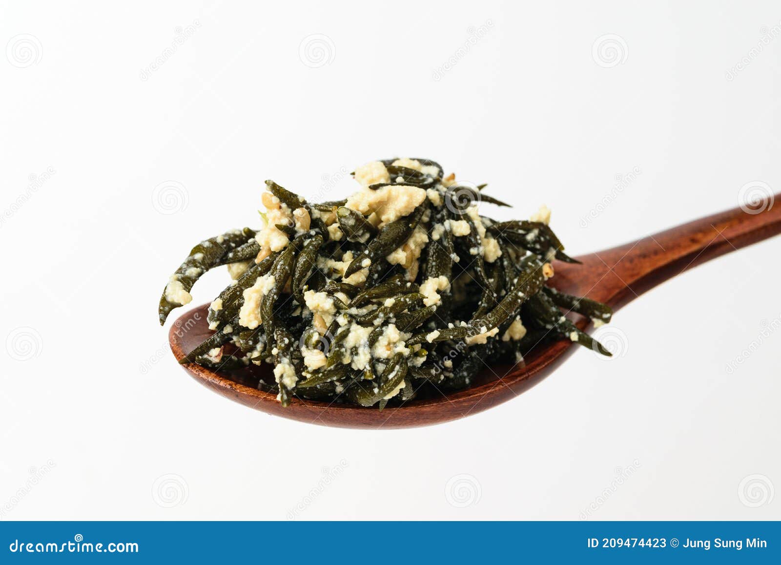 sea weed fusiforme herb on white background