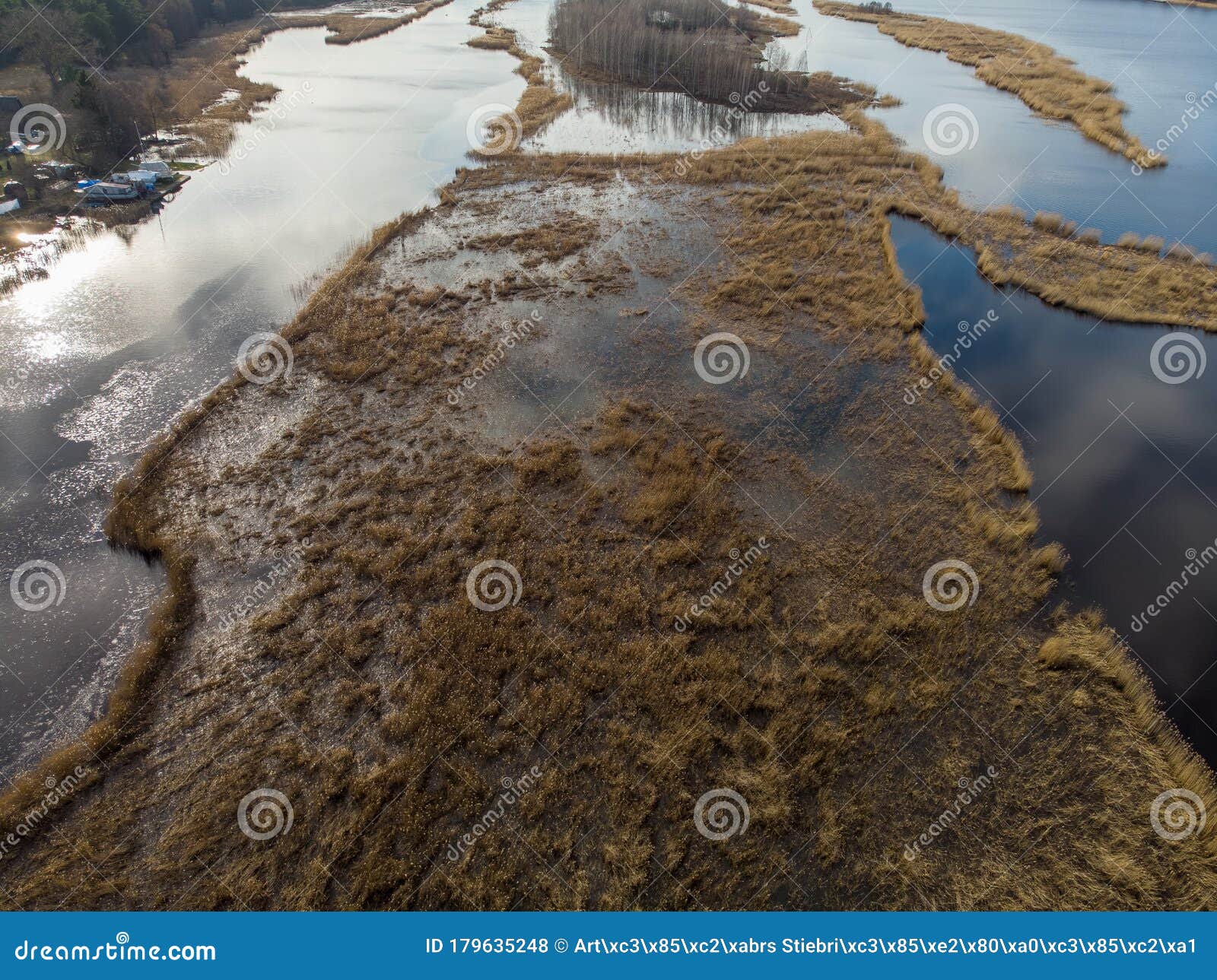 seaweed grass reed areal drone photography view near river lielupe