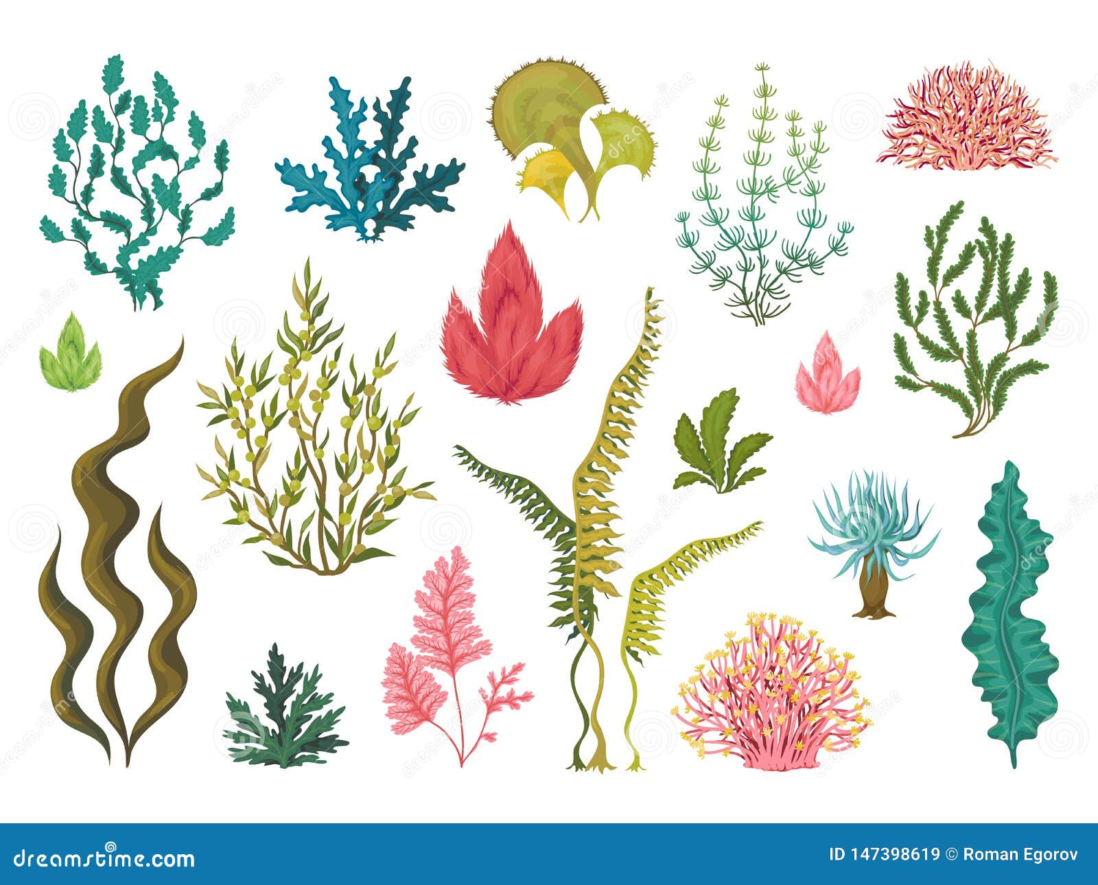 seaweeds. underwater ocean plants, sea coral s, hand drawn ocean flourish algae, cartoon decorative drawing