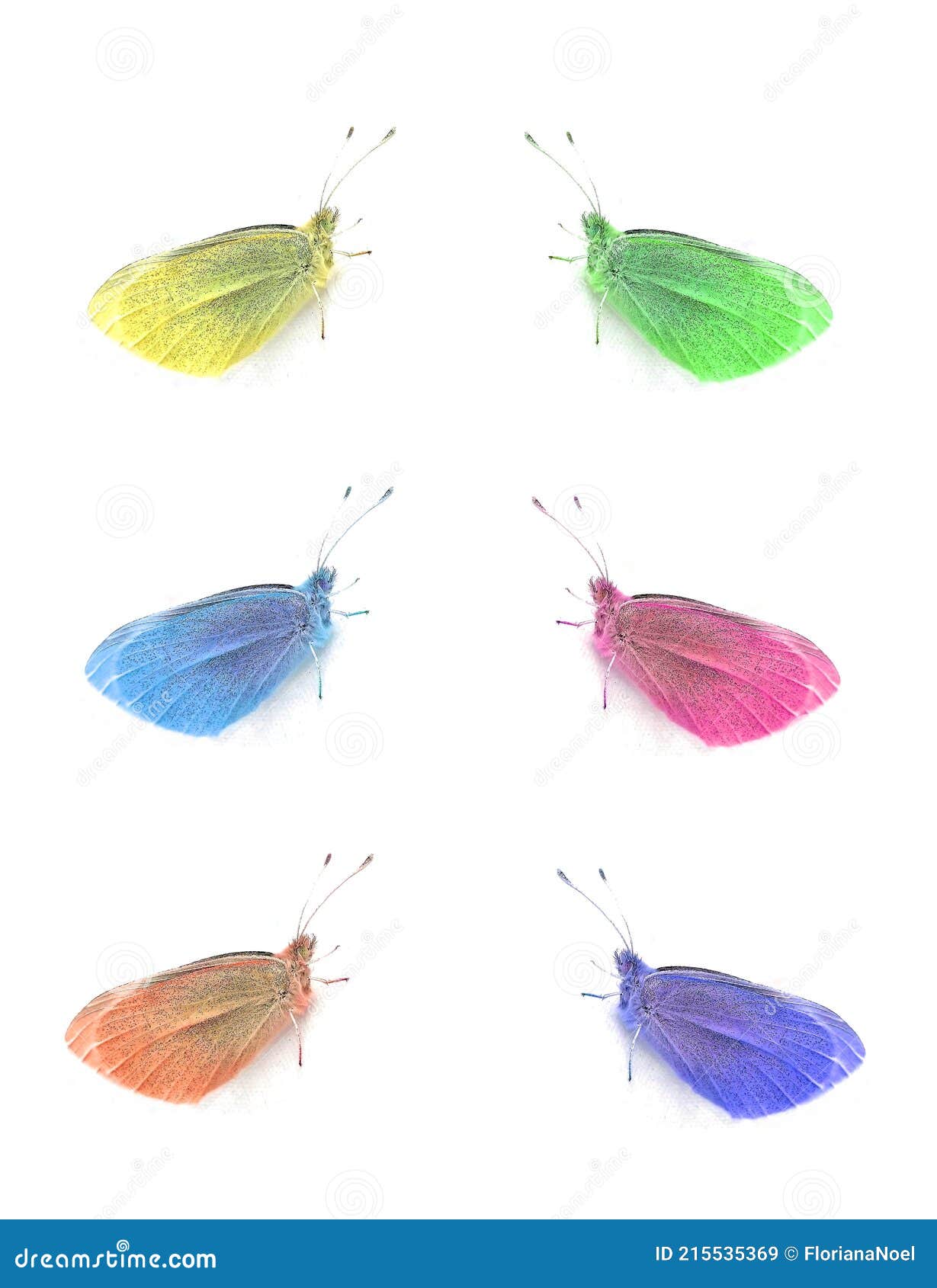 Sechs bunte Schmetterlinge stockbild. Bild von auslegung - 215535369
