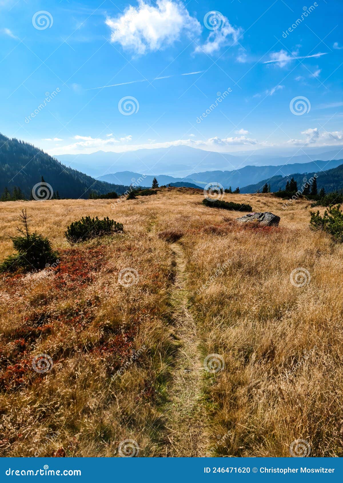seckauer zinken - golden grassland with scenic views in the lower tauern mountain range, austrian alps, europe. golden grassland