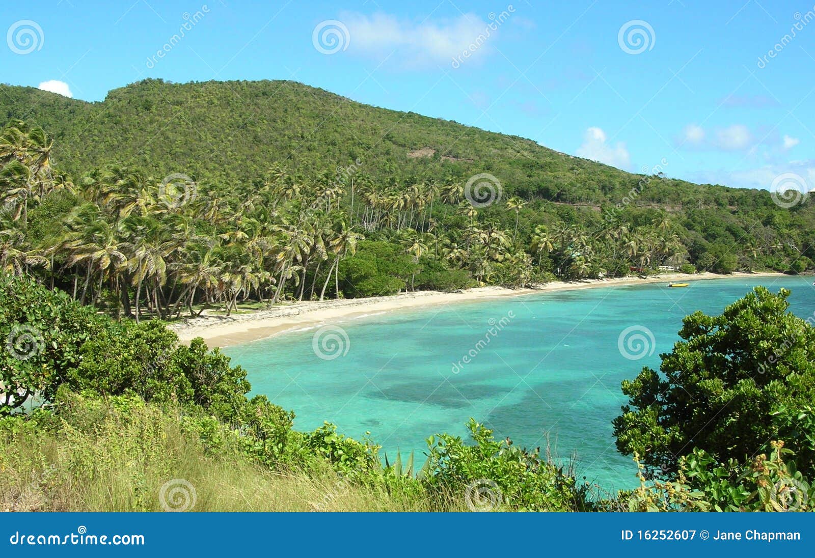Secluded beach on Bequia stock image. Image of scenic - 16252607