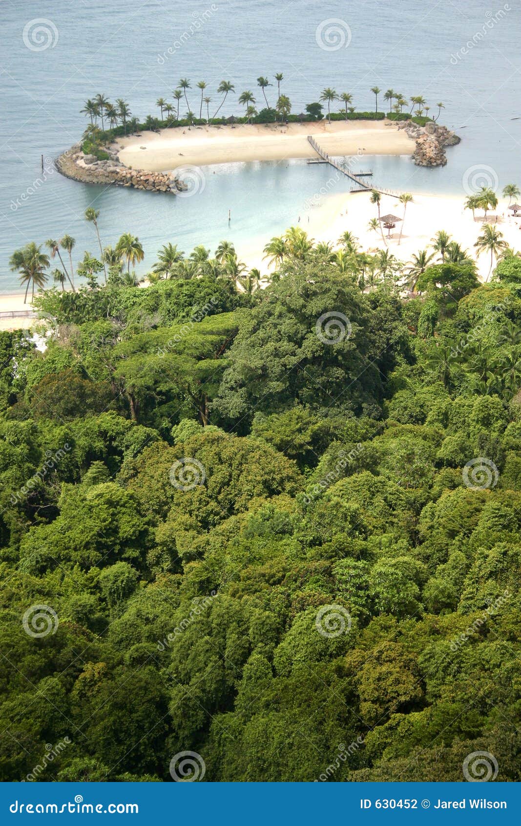Secluded Island in the Tropics Stock Photo Image of tropics, trees