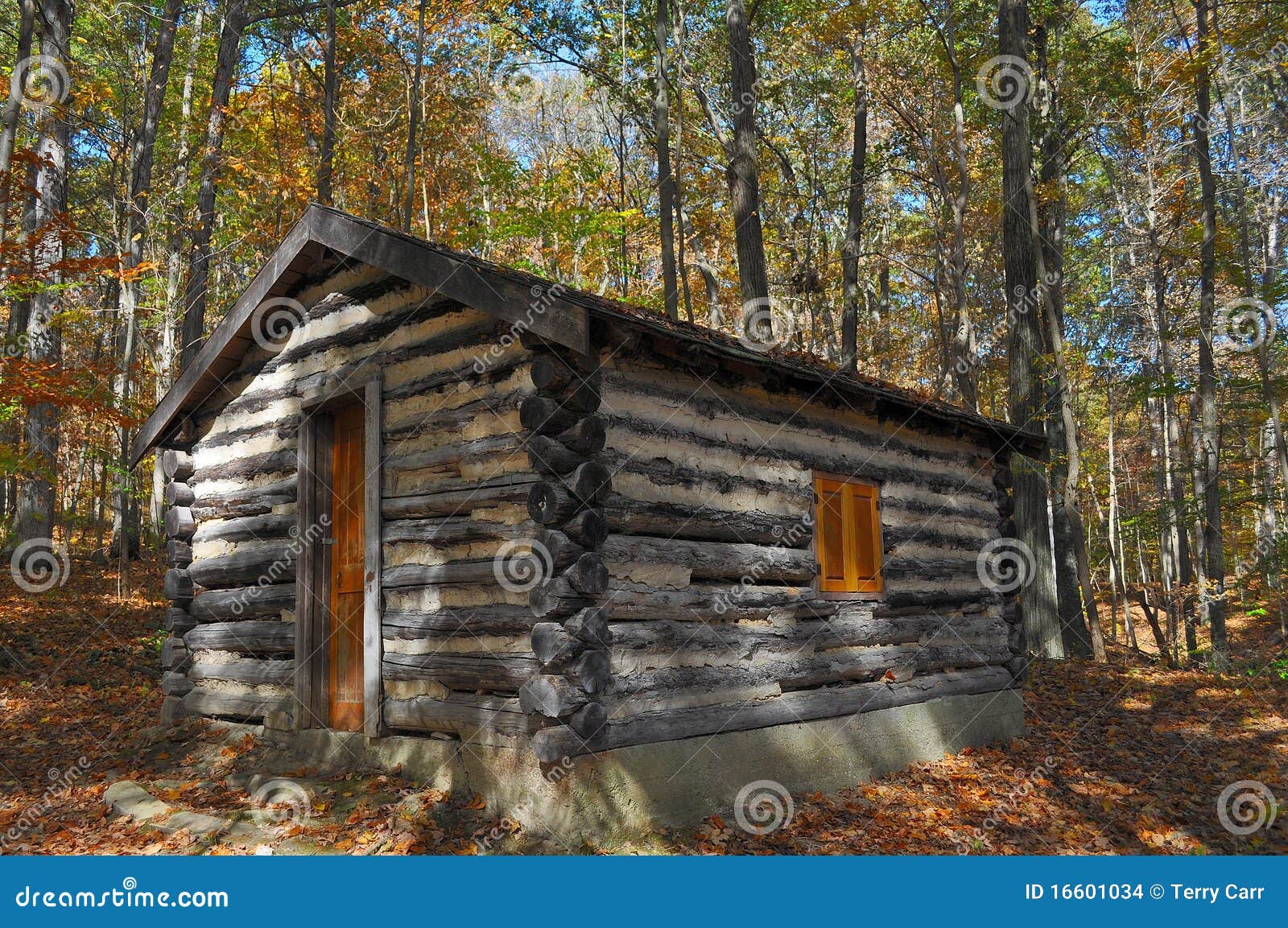 secluded log cabin