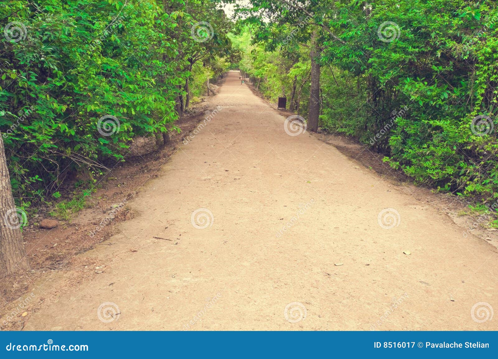 secondary road path from angkor`s temple.cambodia