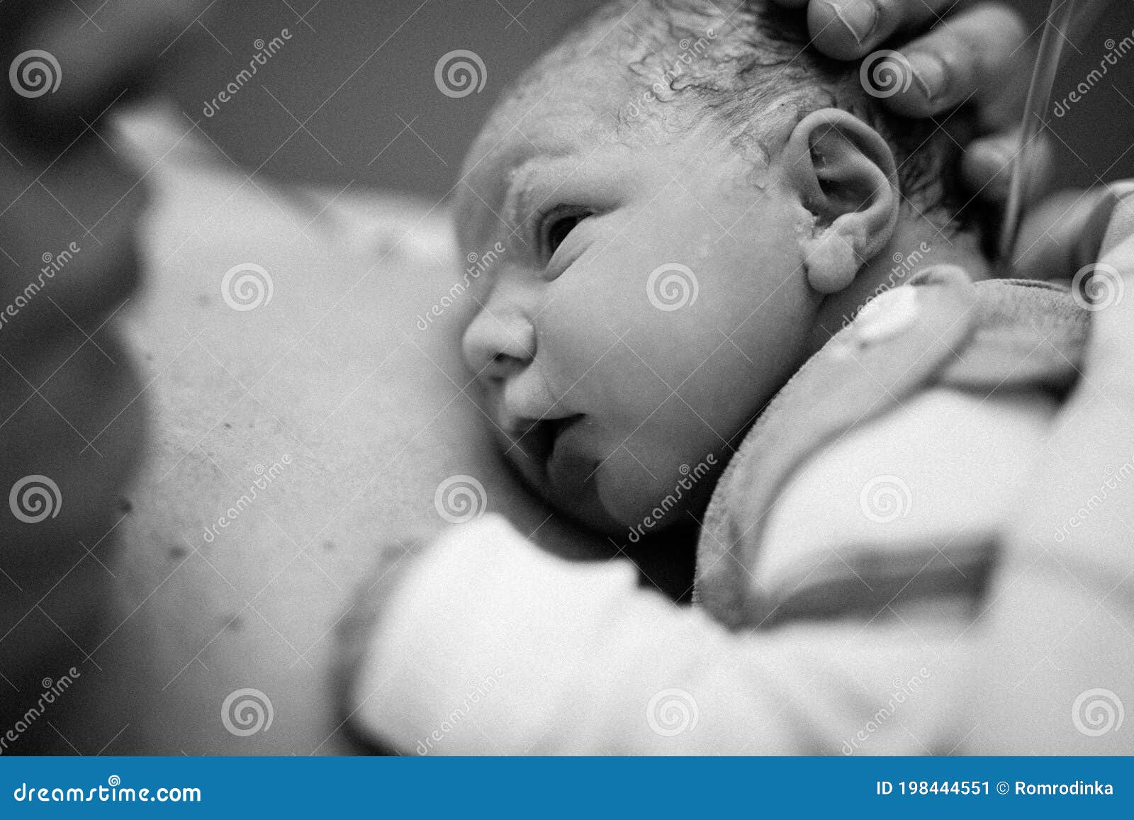 Secondes Et Minutes D Enfant Nouveau Ne Apres La Naissance Bebe Est Ne Par Cesarienne Mains De Medecin Avec La Fille Infantile Image Stock Image Du Nourrisson Cesarien
