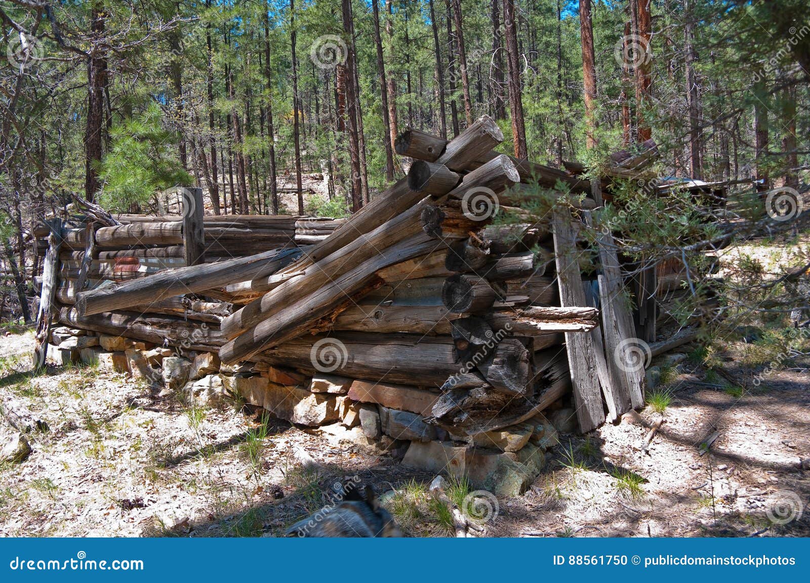 Secret Cabin Stock Photo Image Of Arizona K20d Hiking 88561750
