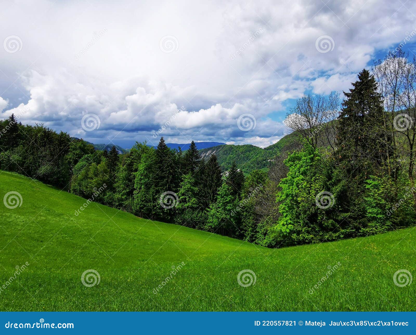 secret wood in slovenija