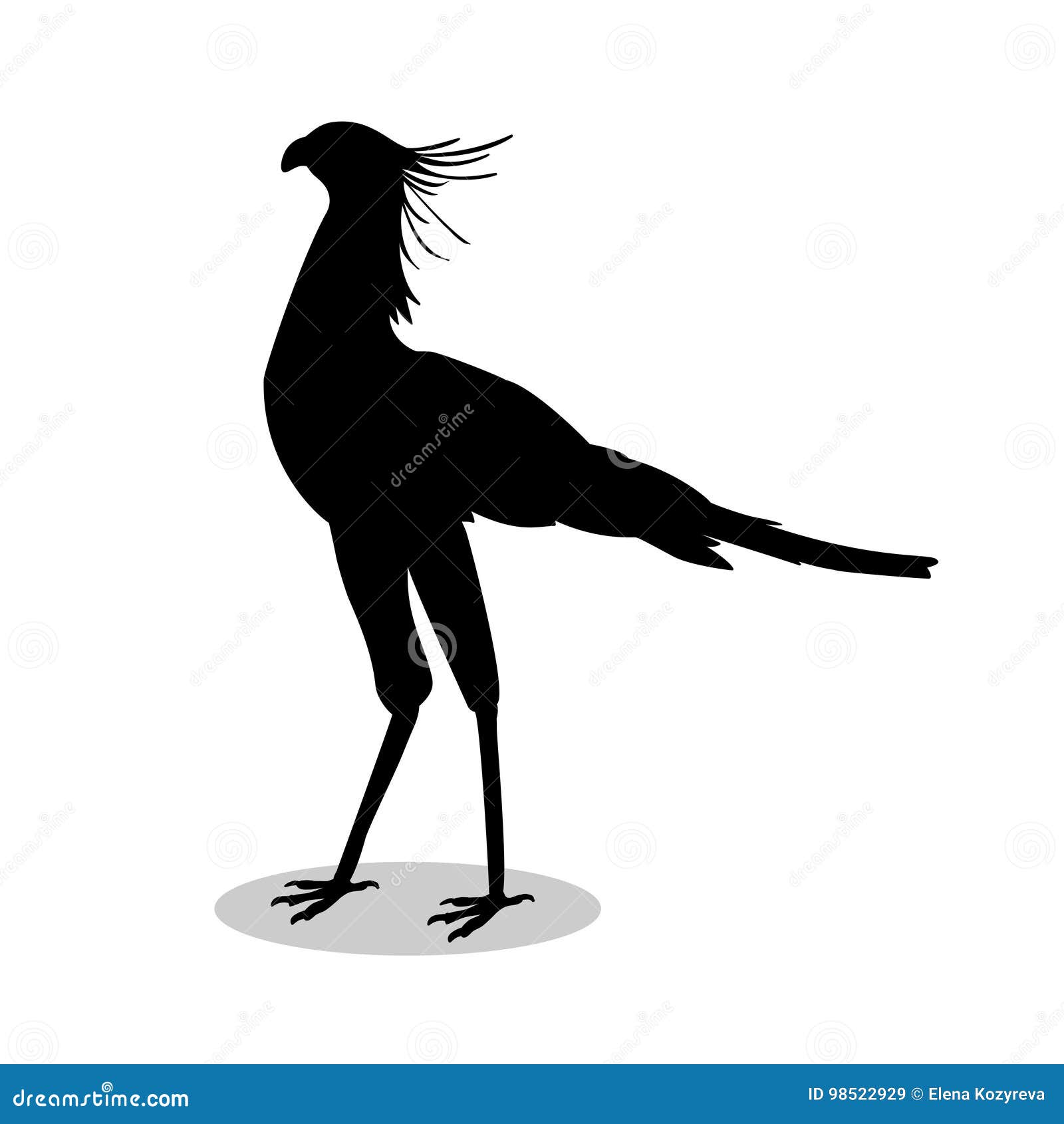 secretary bird black silhouette animal
