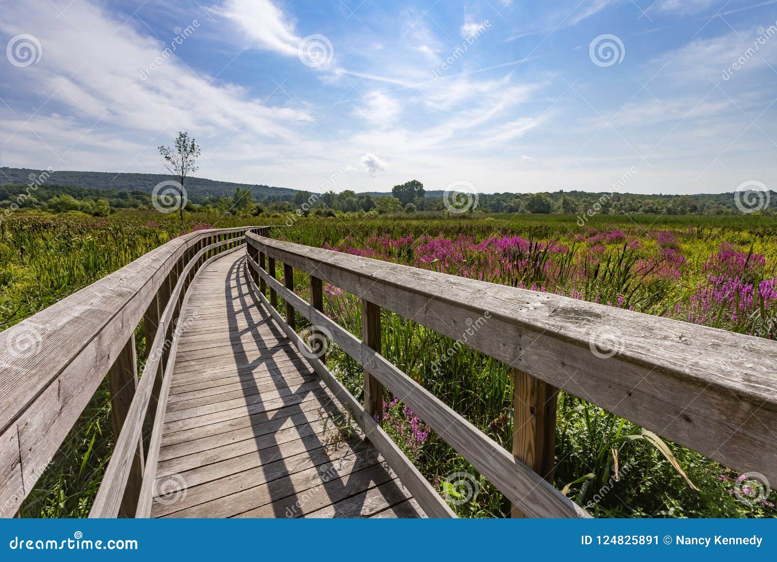appalachian trail