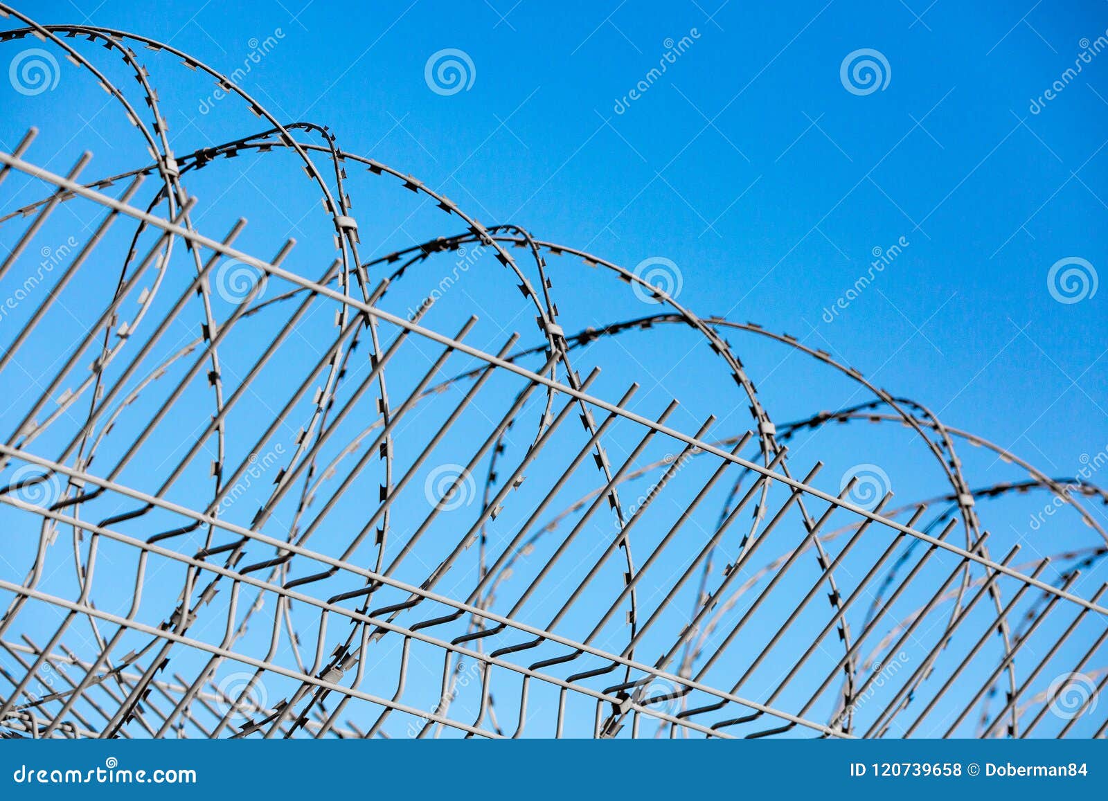 Security With A Barbed Wire Fence Stock Photo - Image of steel, freedom ...
