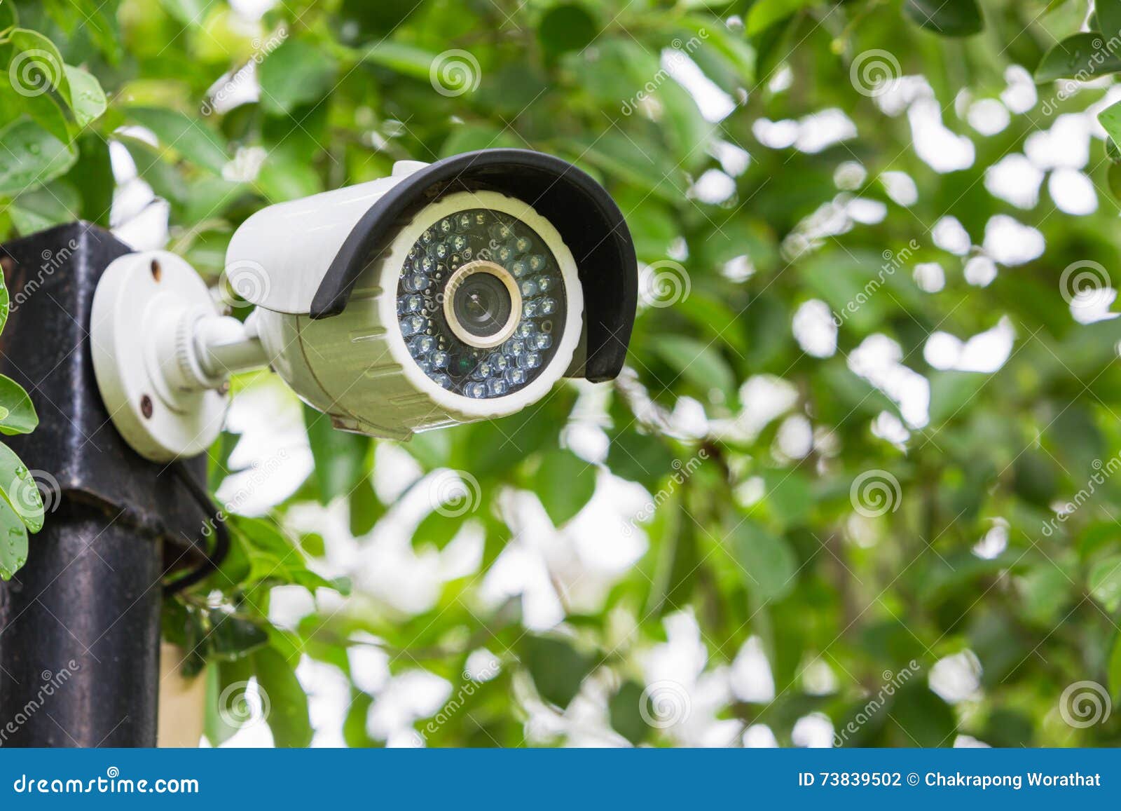 Security Camera CCTV Outdoor in the Garden. Stock Photo Image of outdoor, outdoors 73839502
