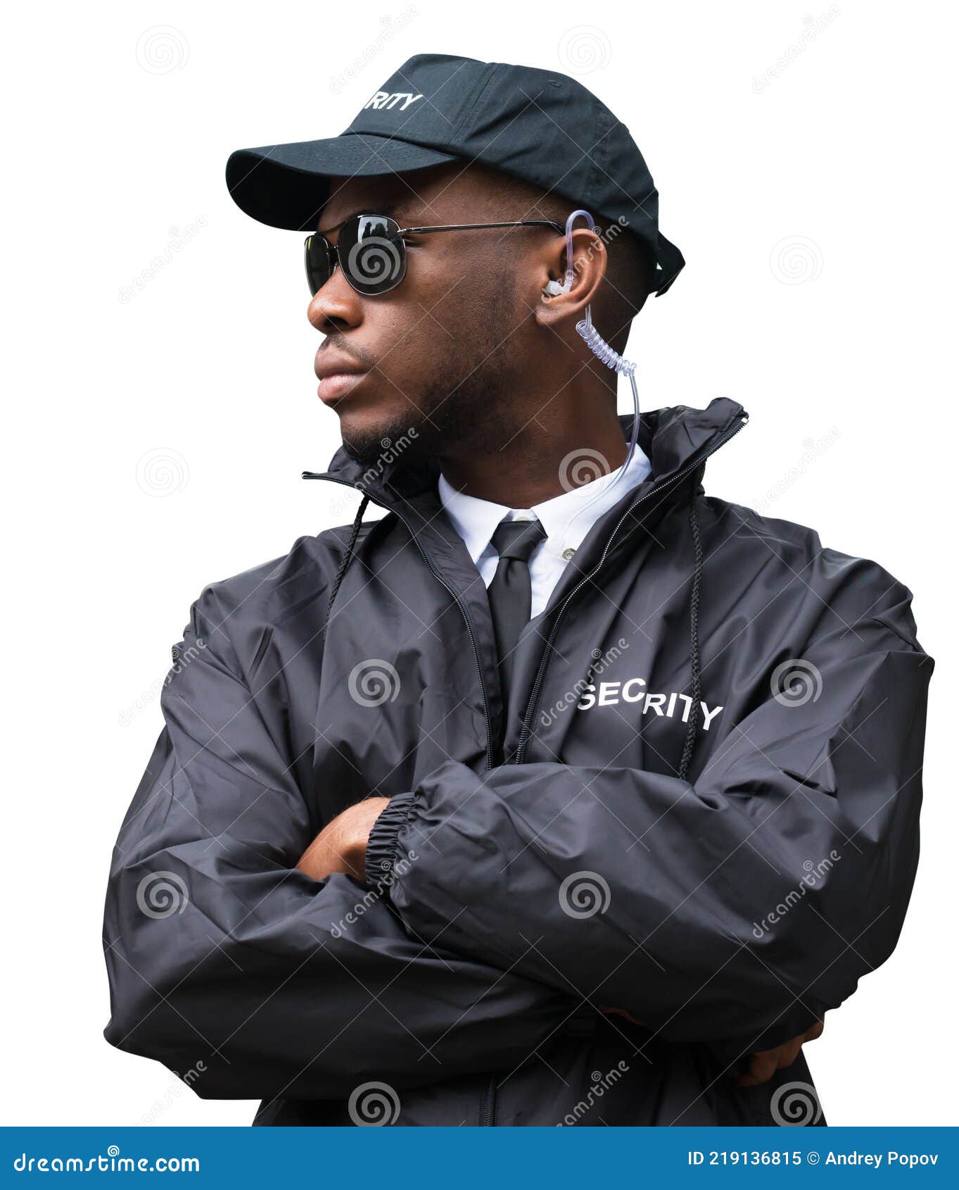 Security Guard or Bodyguard Stock Image Image of professional