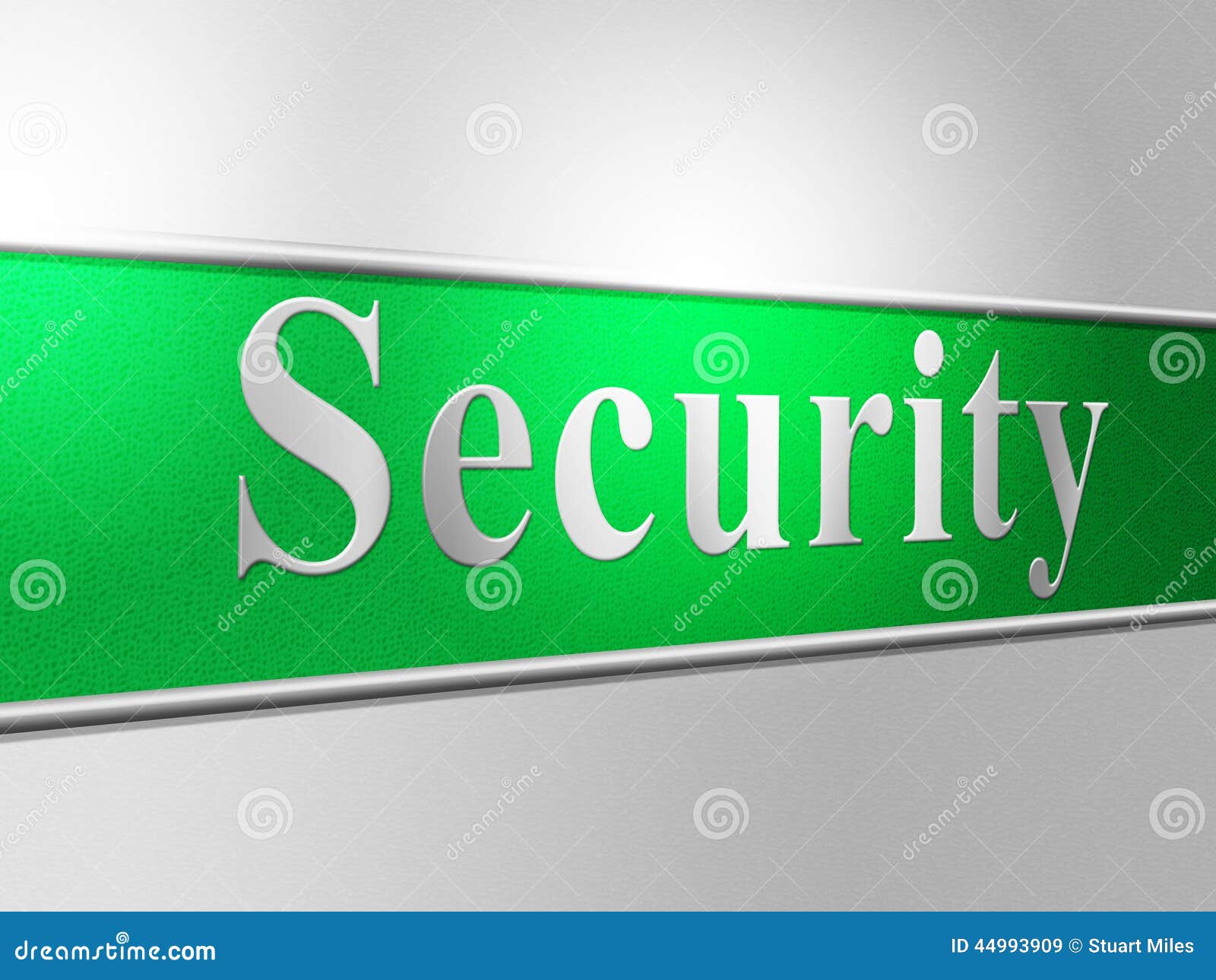 Security meaning