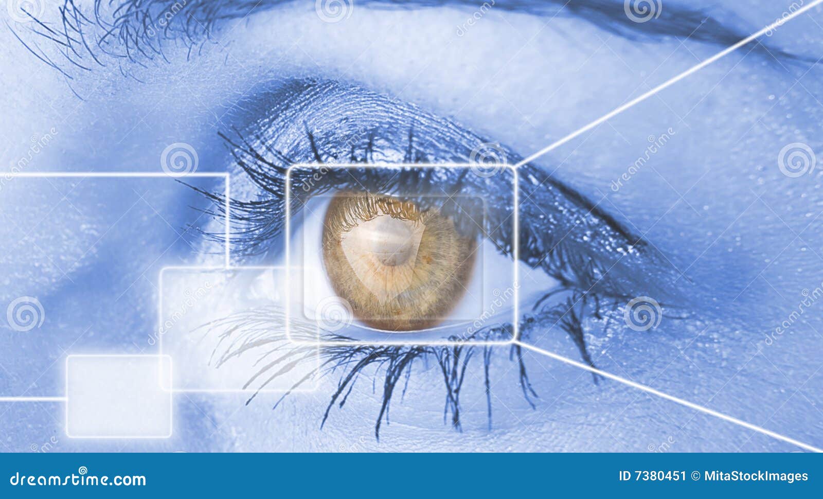 52 467 Future Security Photos Free Royalty Free Stock Photos From Dreamstime