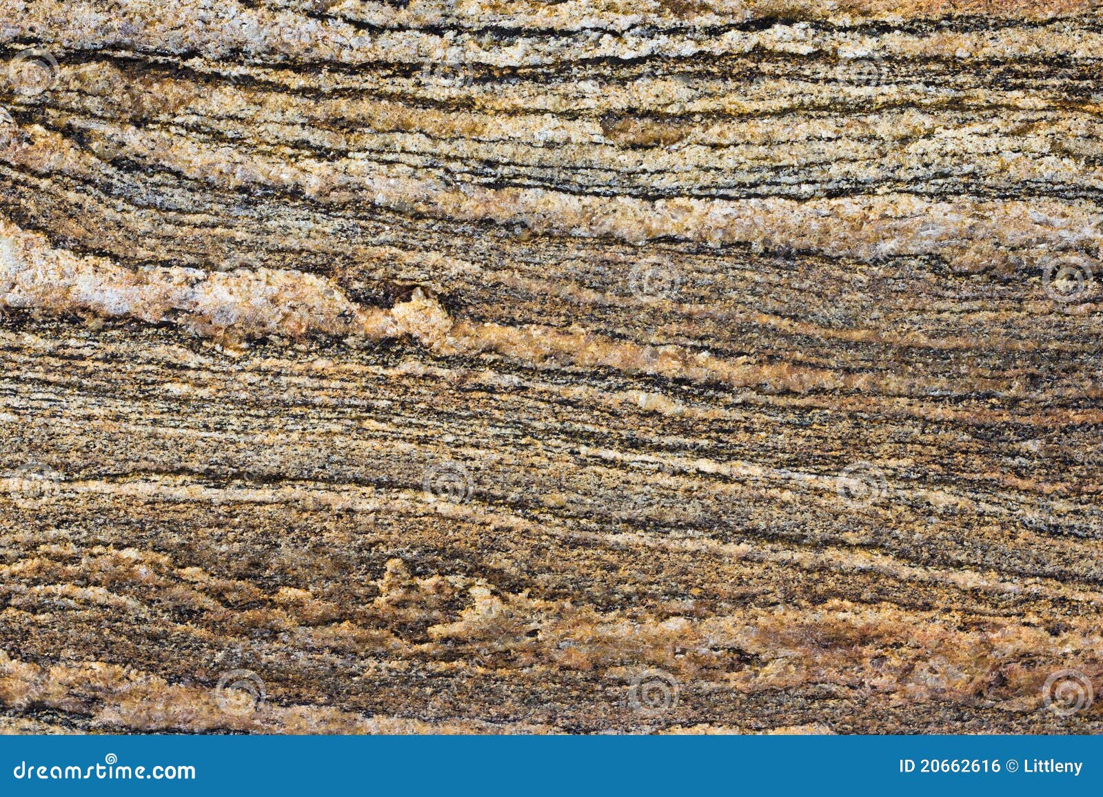 sedimentary rock