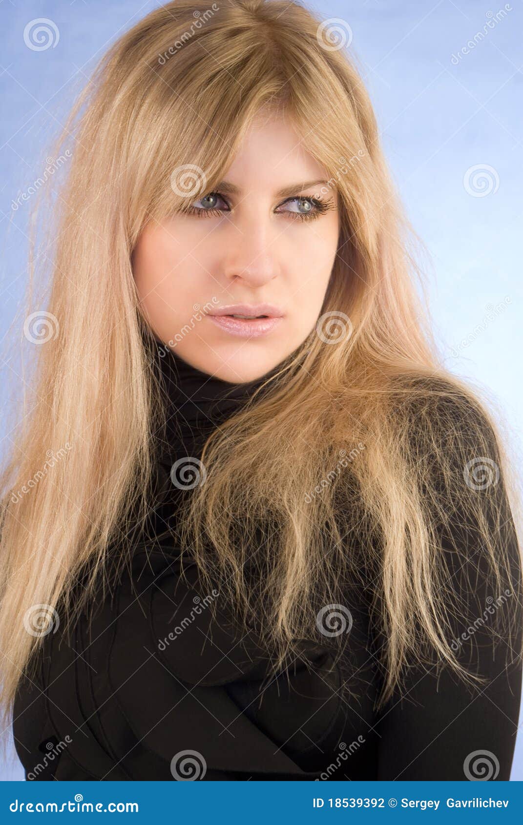 The seductive glamour girl stock photo.