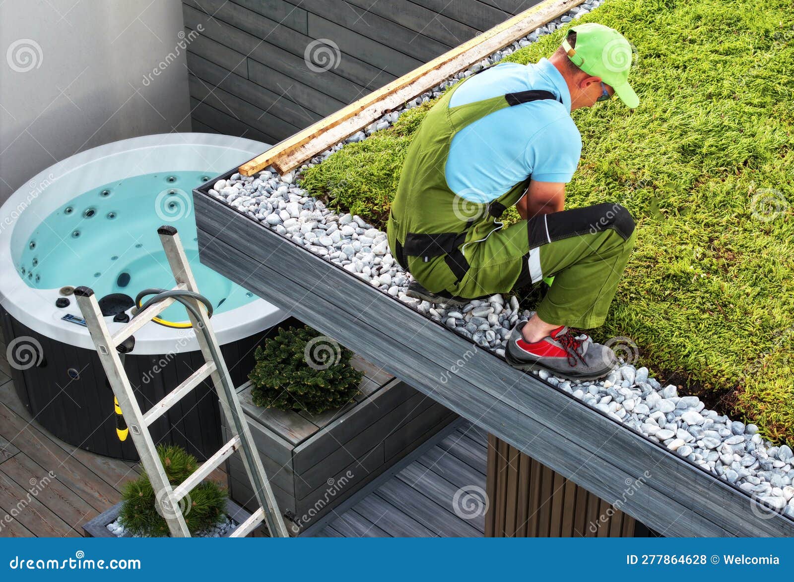 sedum roof installation performed by professional gardener