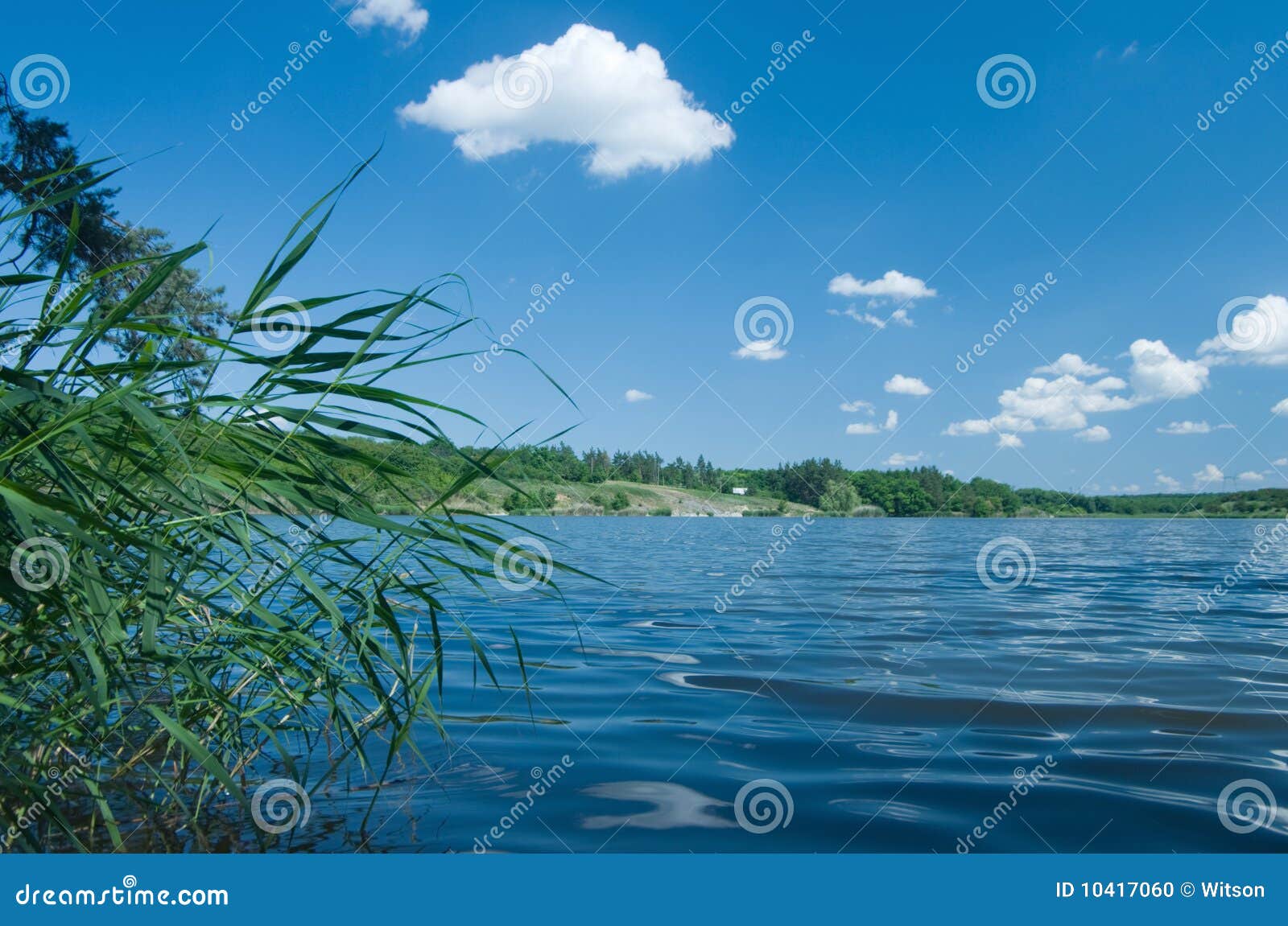 Landschaftsfoto: der See im Wald